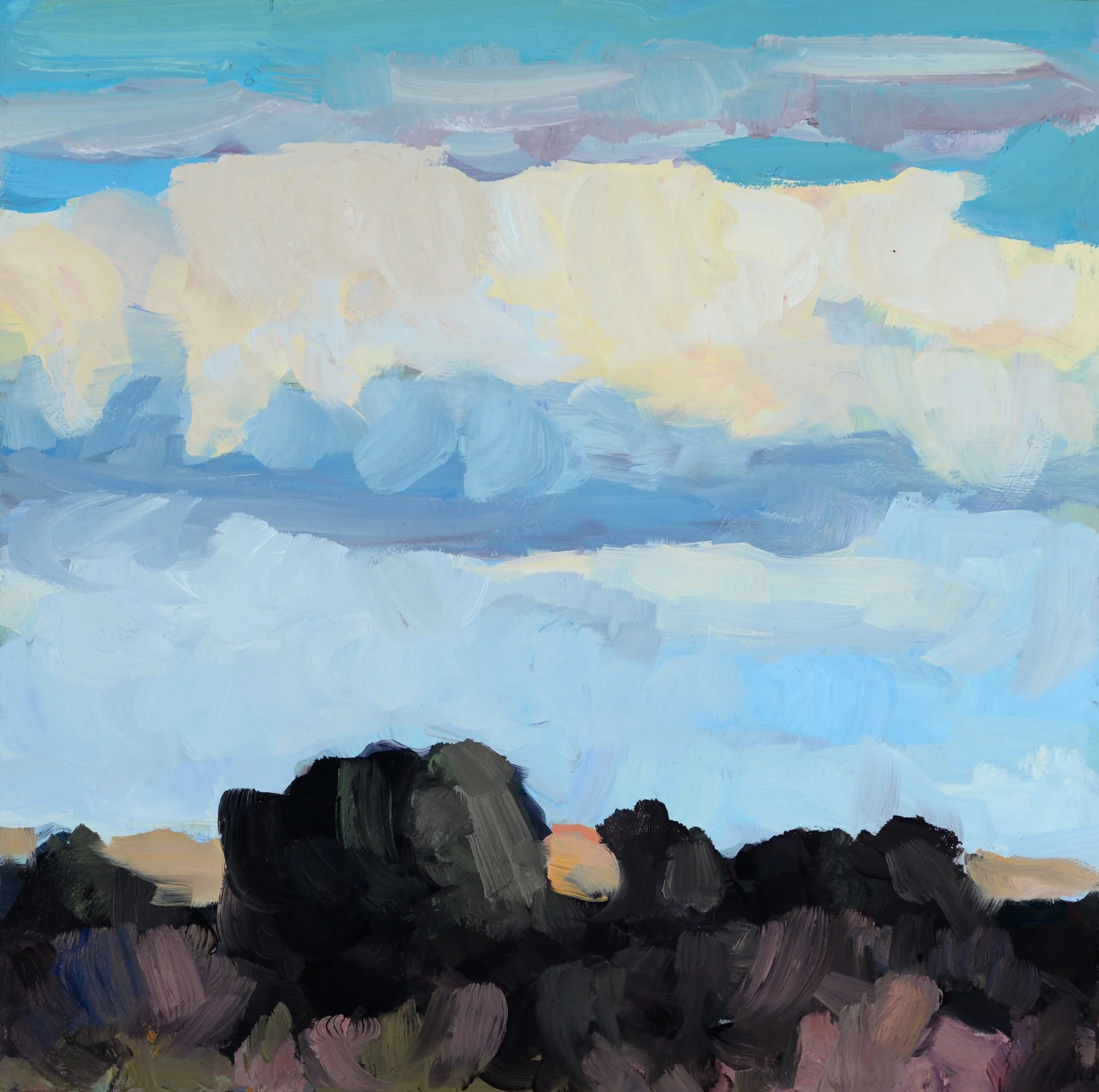 Matthew Higginbotham / New Mexico Vignette (2025 Solo show)
