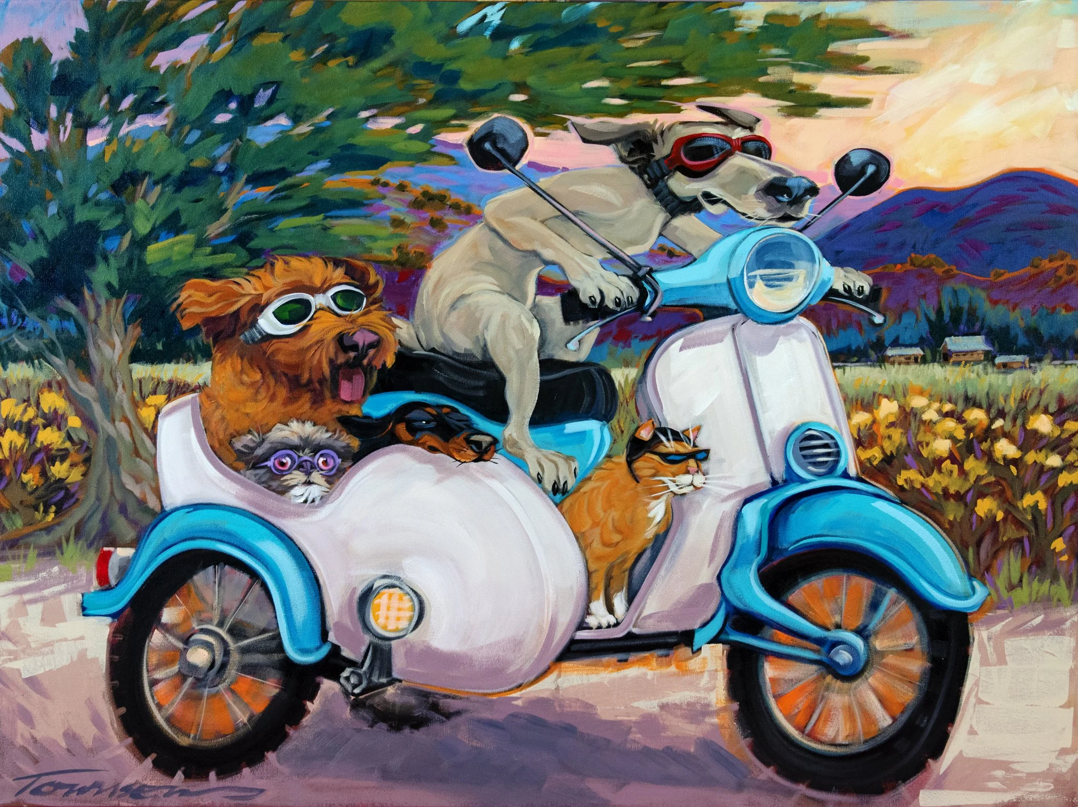 scooterpool.jpg
