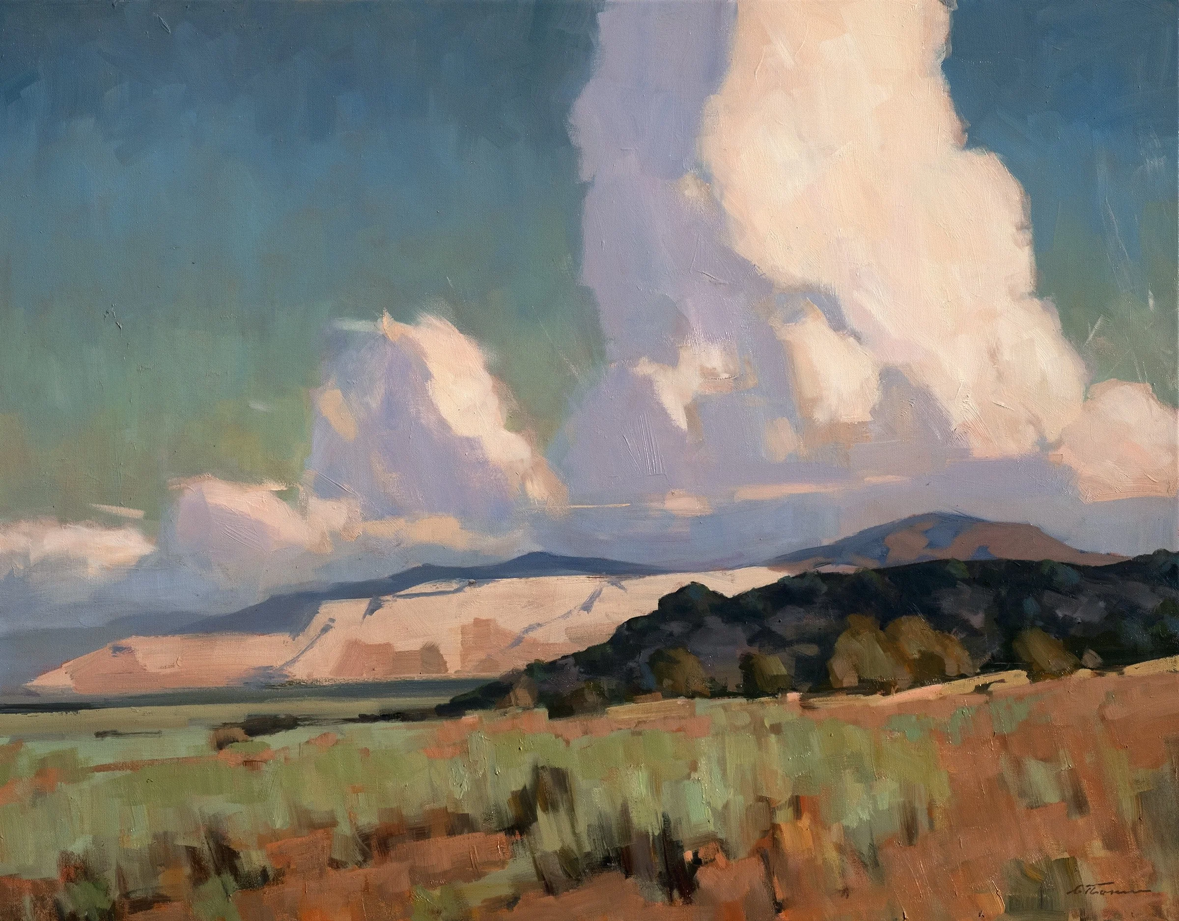 Chamisa & Clouds 30x40 $4500 Oil.jpg
