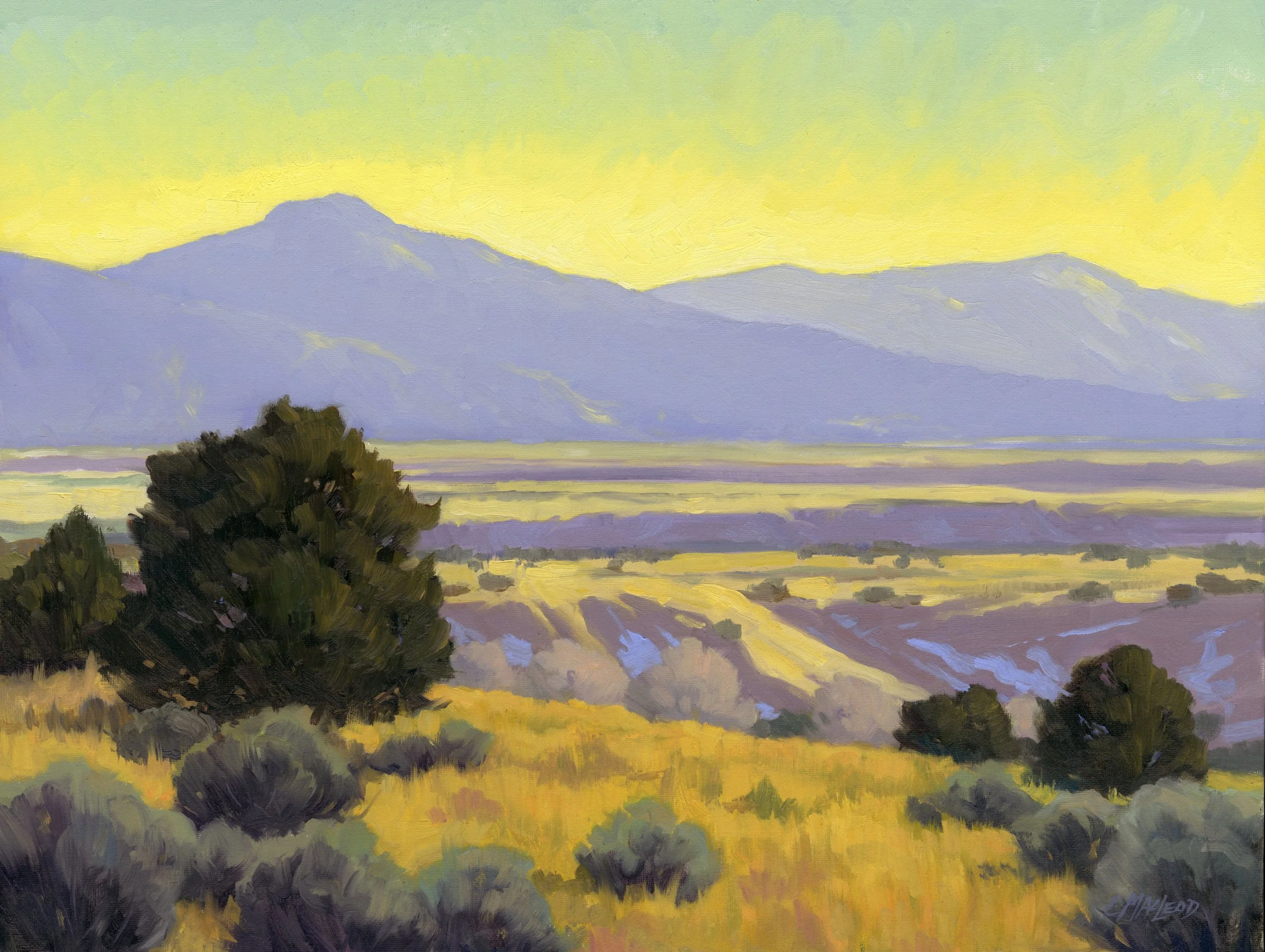 Lee MacLeod / Across The Valley