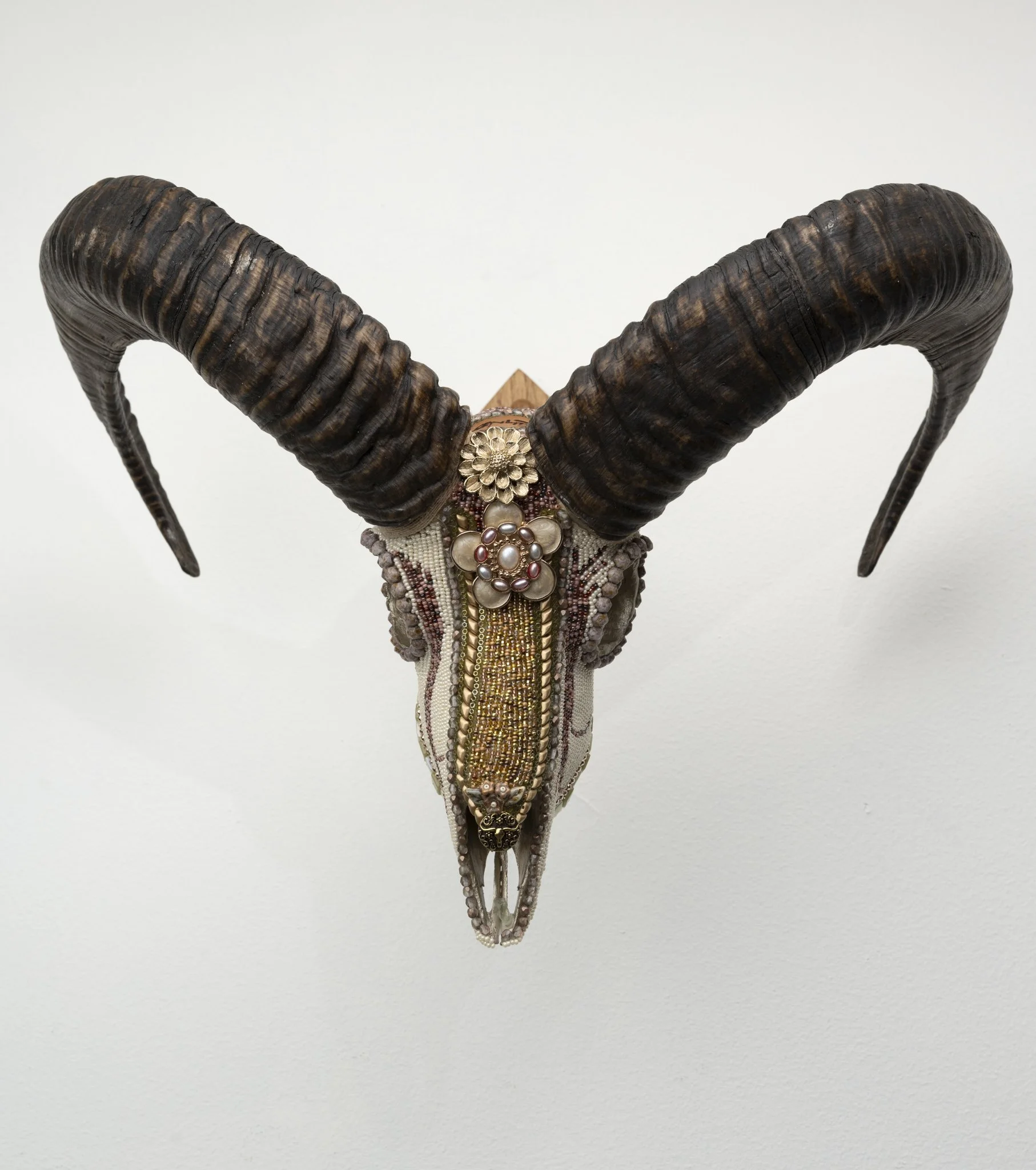 Kelly Nygard / Fiorello