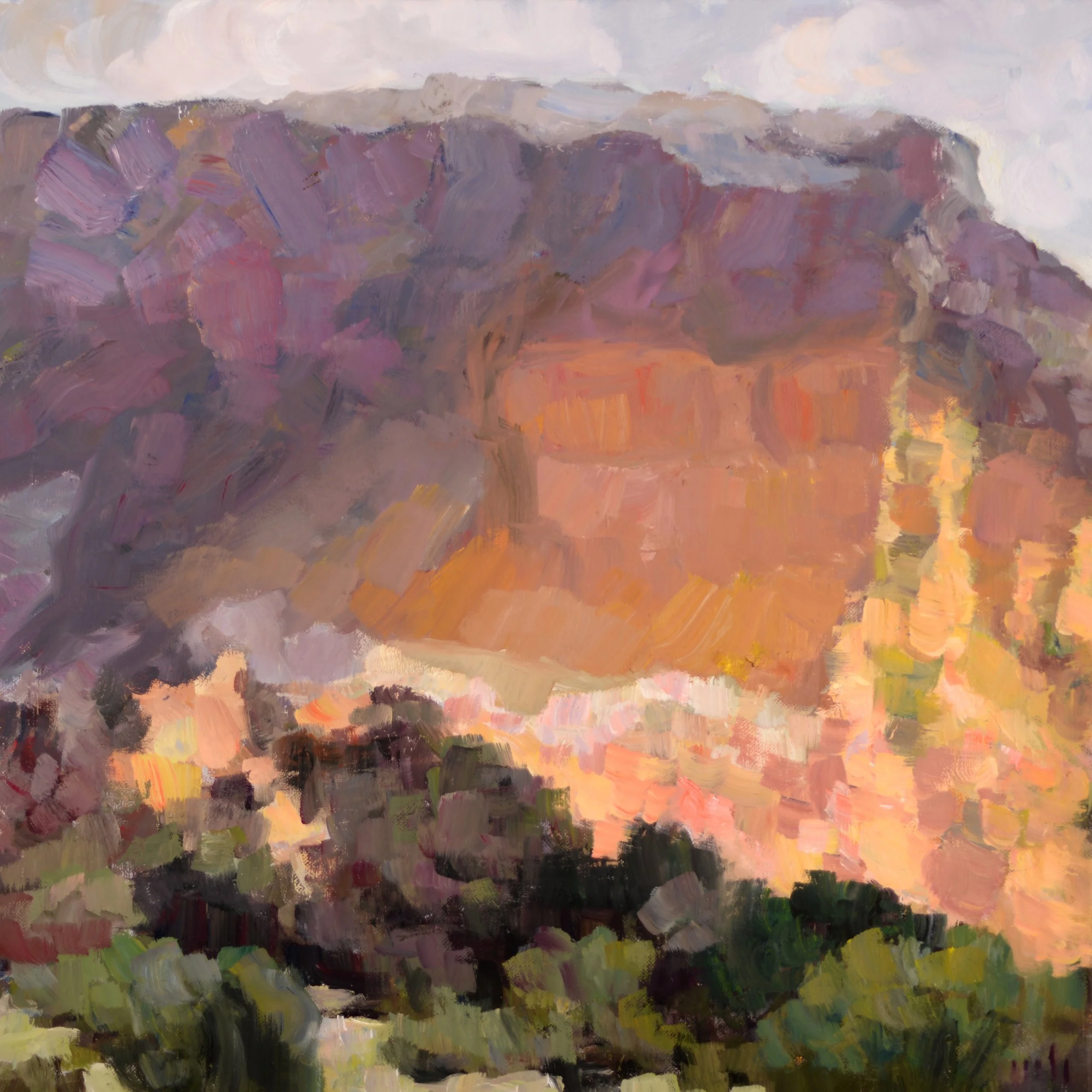 Canyon wall. oil on linen, 14x14, 2026.jpg