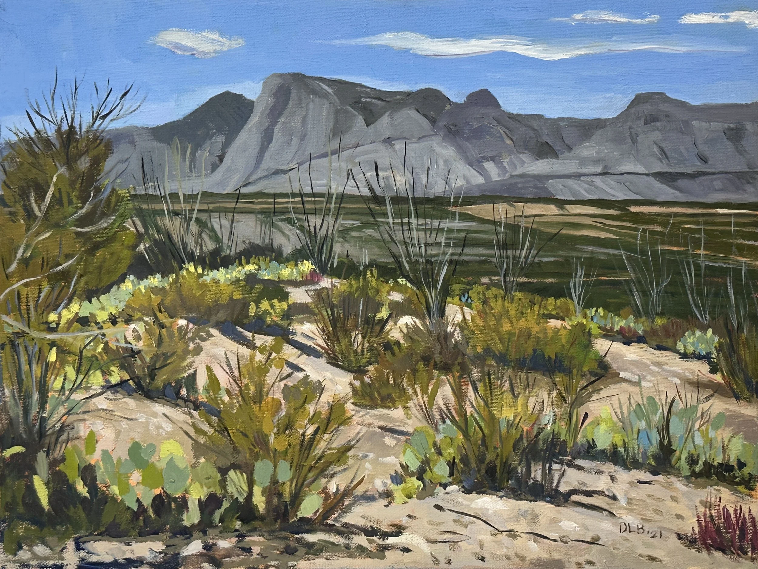 David Loren Bass / Cactus Field Near Chinati Hot Springs