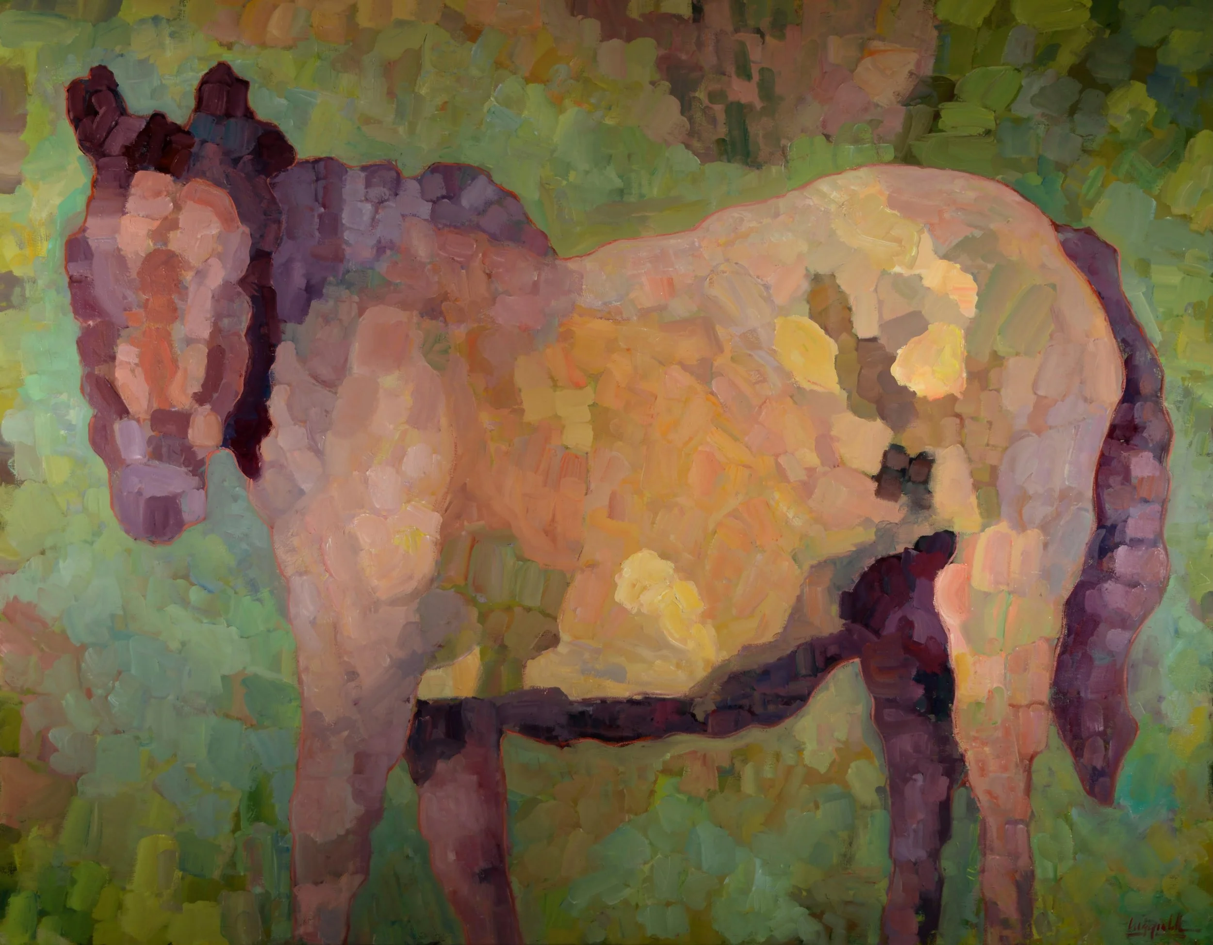 Matthew Higginbotham / Countenance of Grace