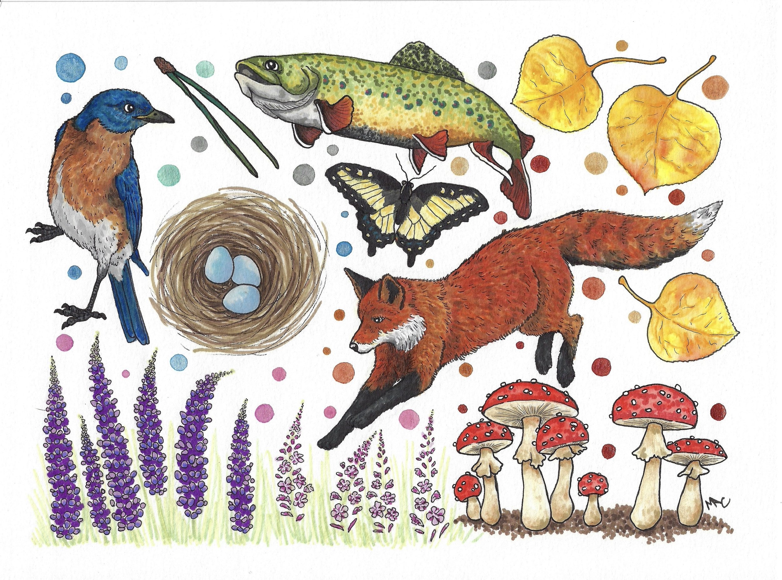 Nature's Rainbow Babies - 8x10