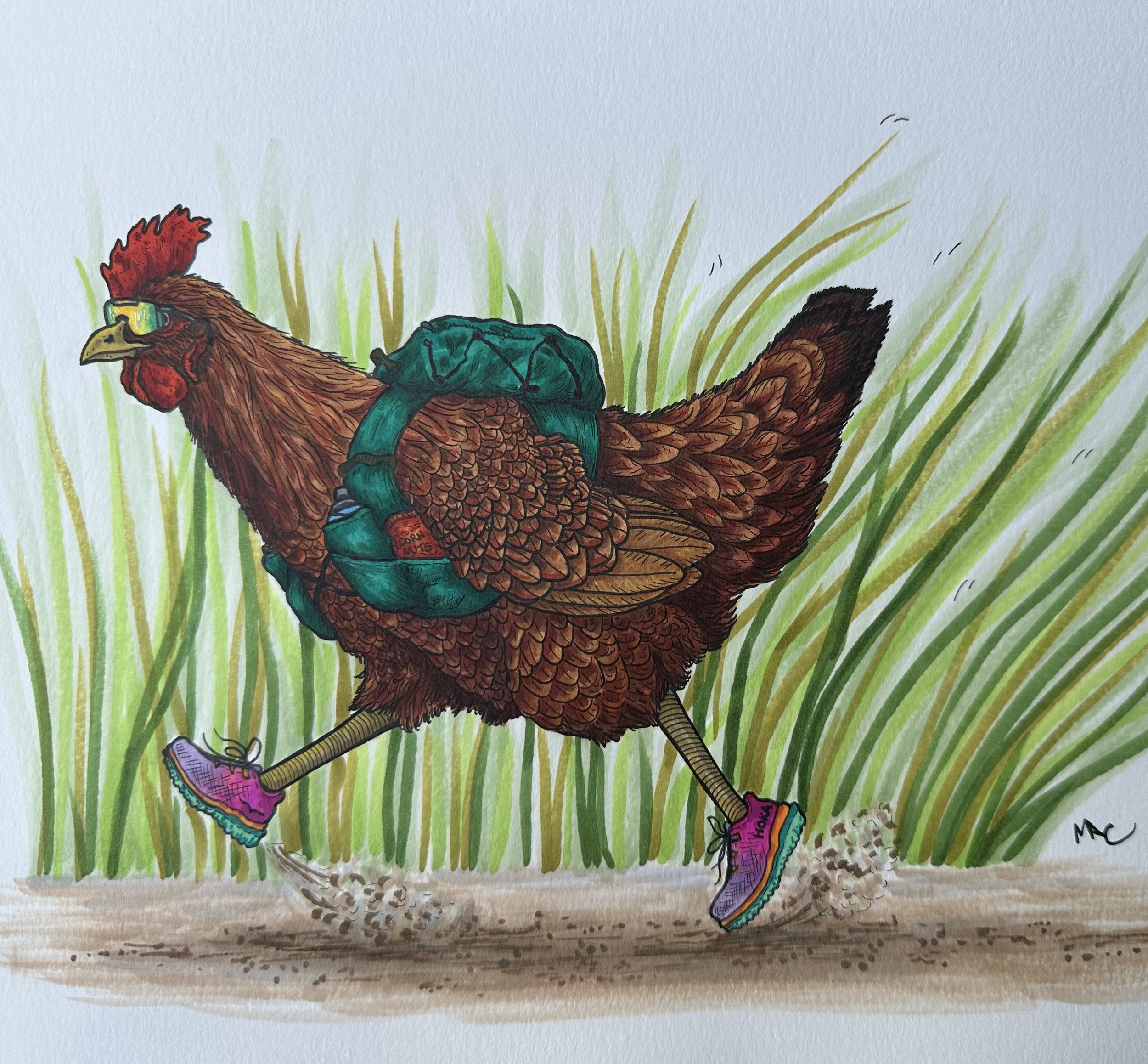 Chickens Run Too - 8x10