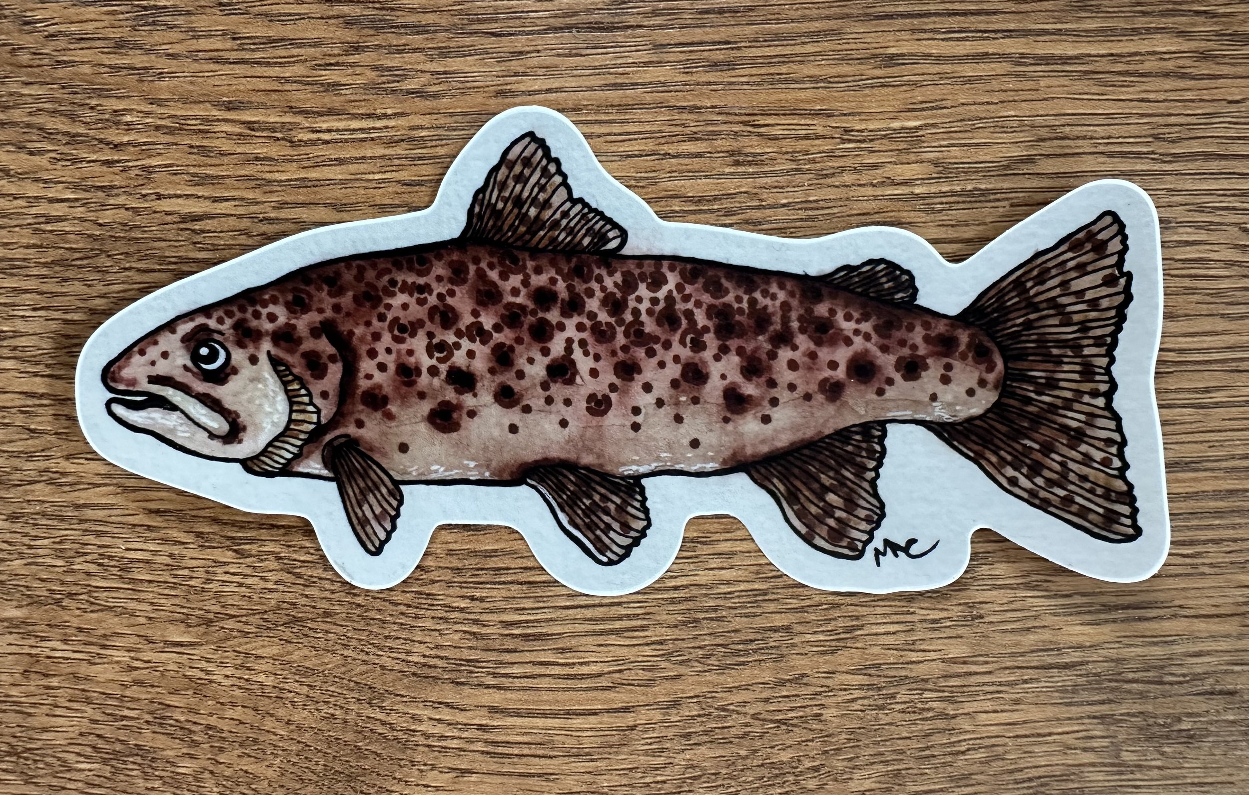 folgersbrowntrout.jpeg