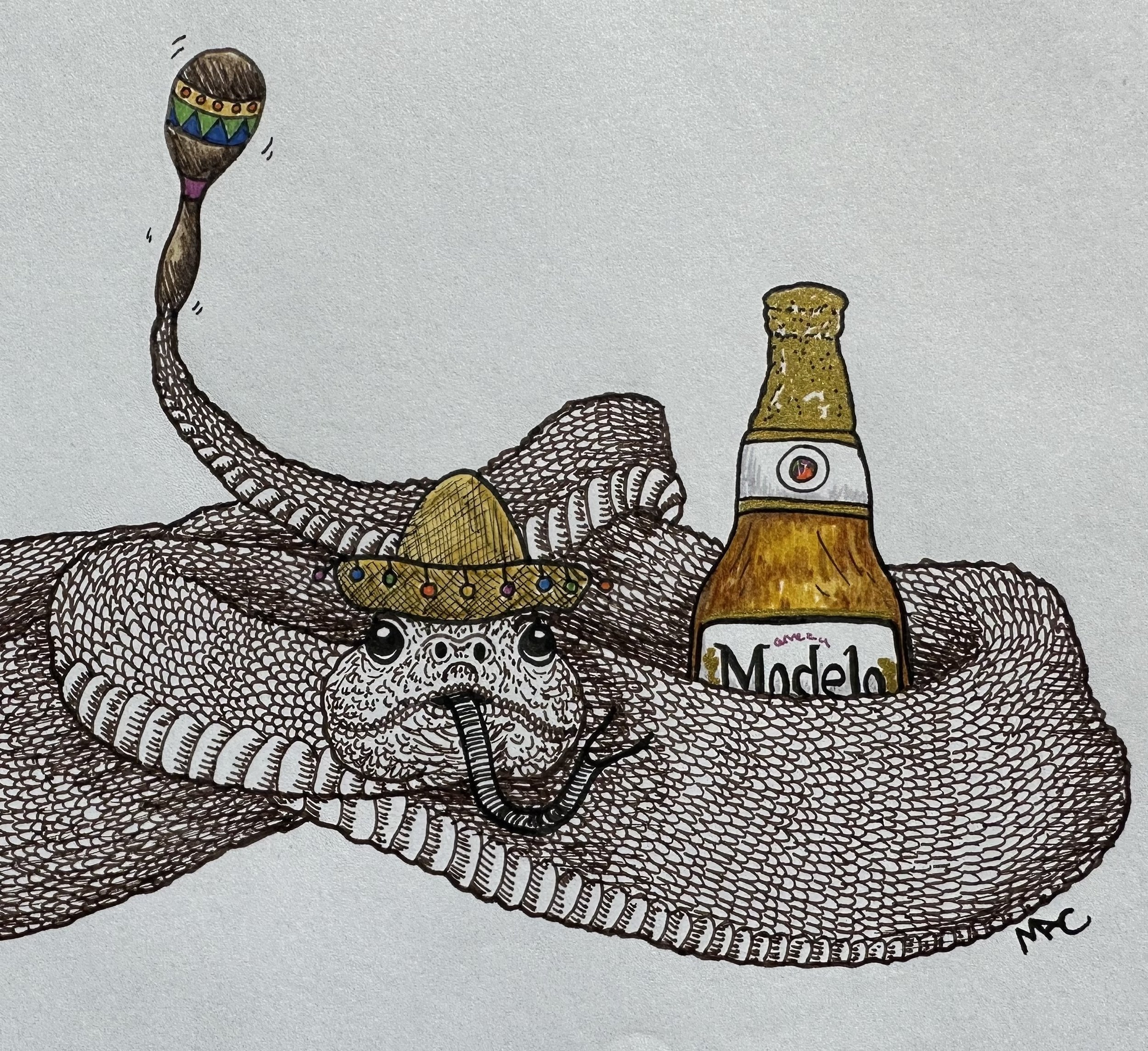 Fiesta Snake - 8x10