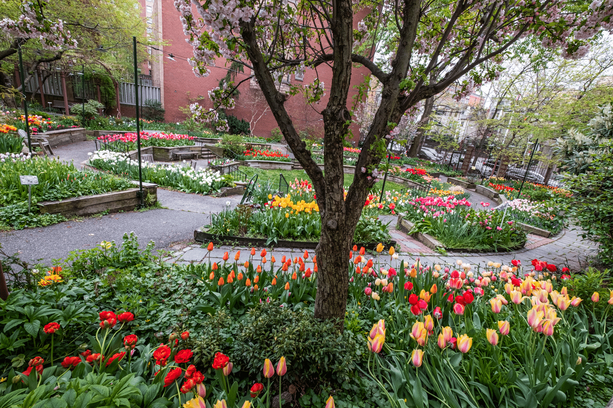 fi-Robin-B.-Langsdorf-The-West-Side-Community-Garden.png