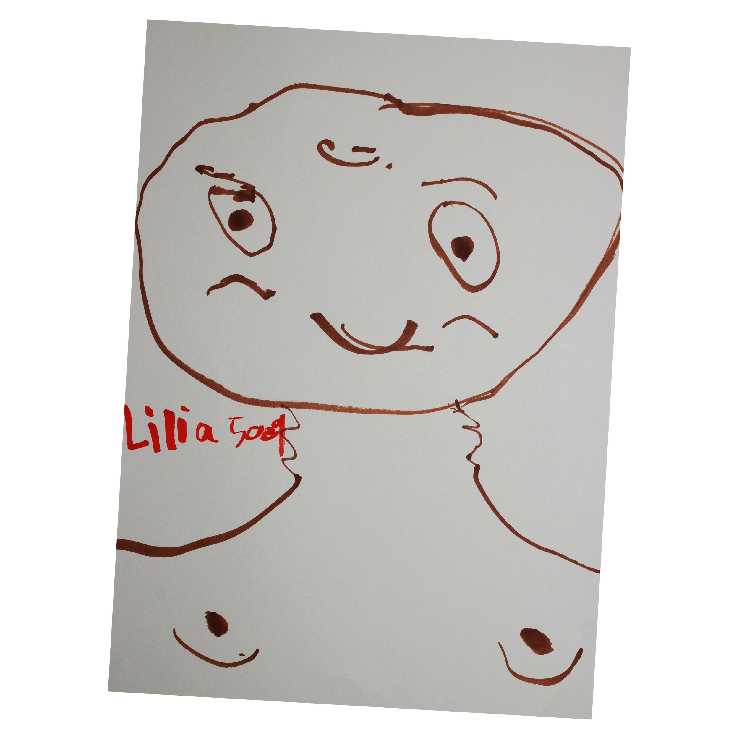 31.png