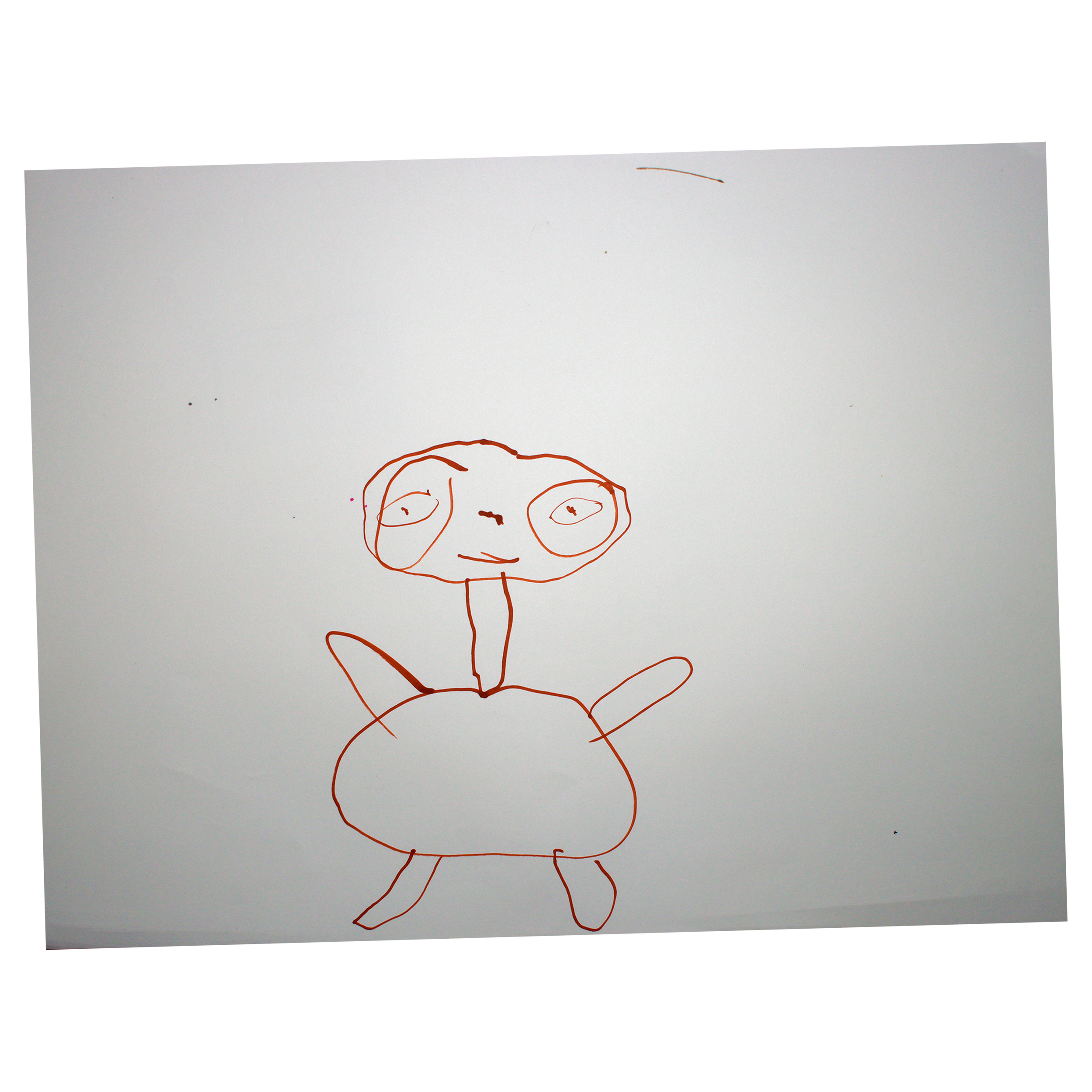 41.png