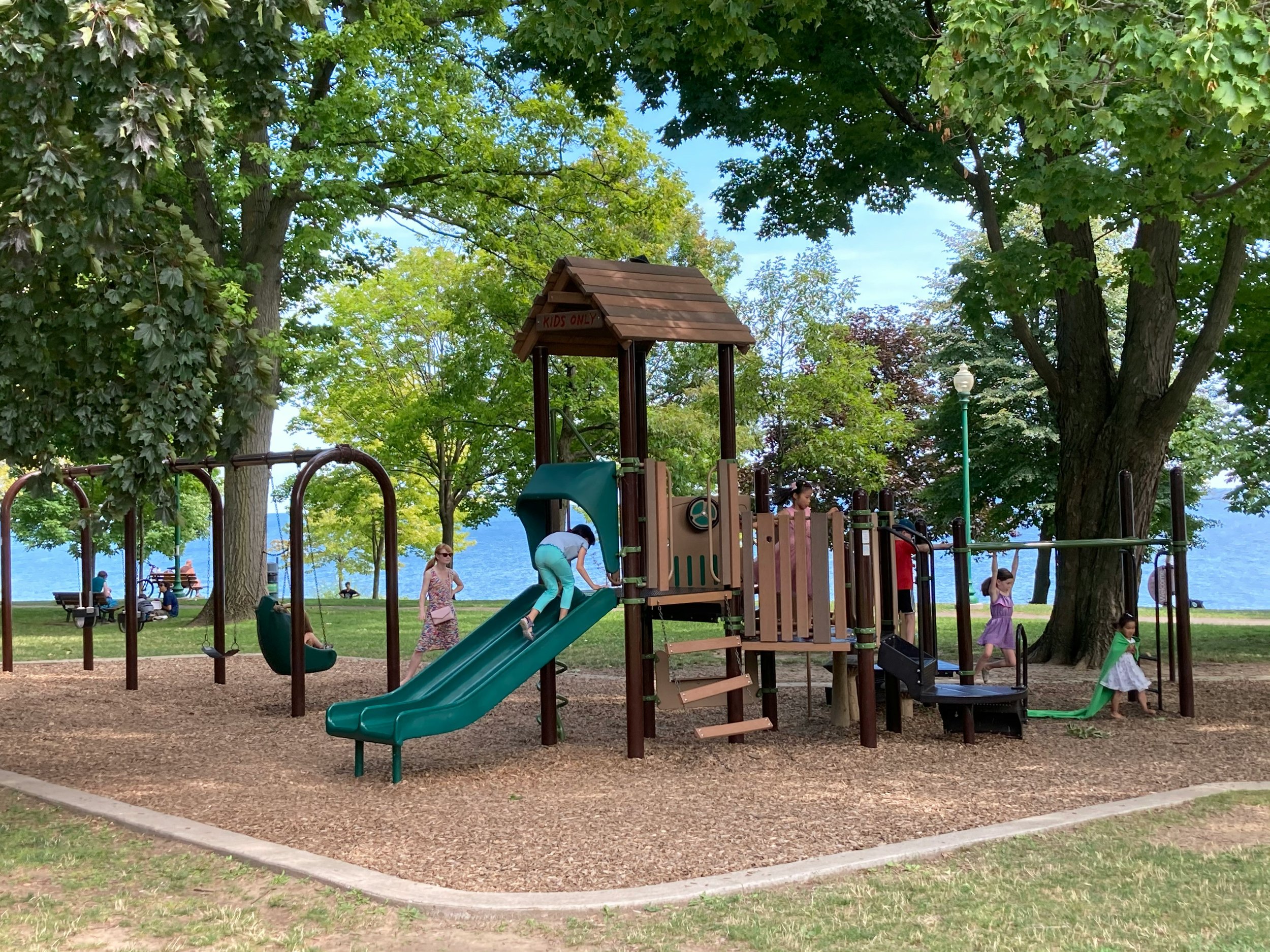 168 Park Clean-up