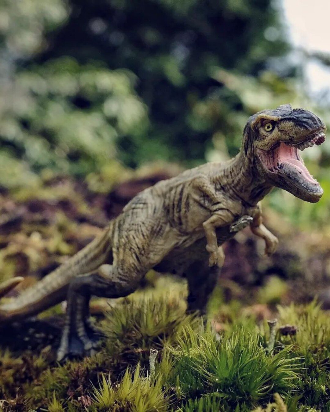 What would you do if you heard a ferocious ROOOARRRR from this titan whilst you were out in the forest? 💥⁠
⁠
We're not sure if we'd want to stay and battle or run screaming in the other direction.... 😳⁠
⁠
📸 @dinosaursofwarwickshire⁠
⁠
Let us know 