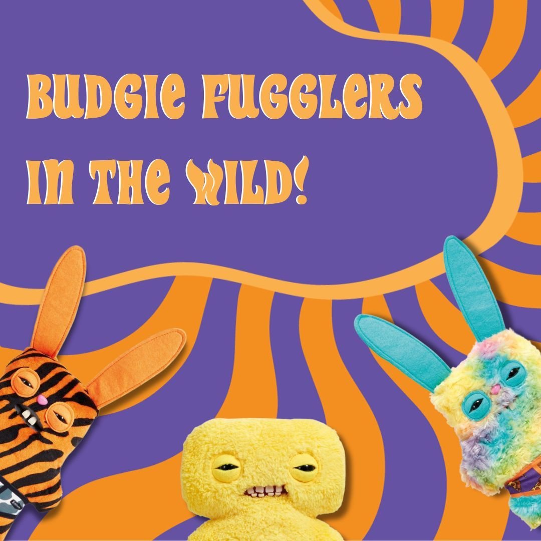 Budgie Fugglers are running amok in Walmart stores! 🙈

These little monsters are living their best #fugglife in their undies and causing havoc wherever they go.
Try your best to look away, we bet you wont be able to! 👀

Try to catch one of these wi