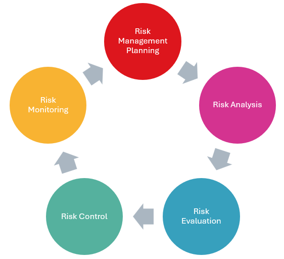 Diagram of a closed loop risk management process
