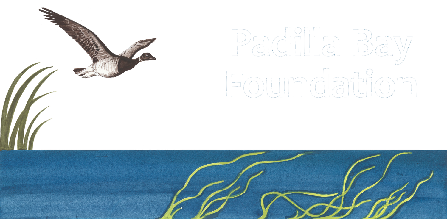 Padilla Bay Foundation