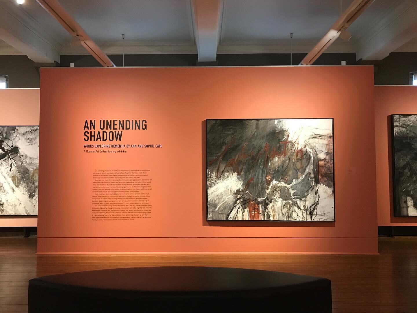 Now on &lsquo;AN UNENDING SHADOW: WORKS EXPLORING DEMENTIA BY ANN AND SOPHIE CAPE&rsquo;
@maitlandregionalartgallery until MAY 23

An Unending Shadow is an exhibition of artworks by prominent Australian mother and daughter artists, Ann and Sophie Cap