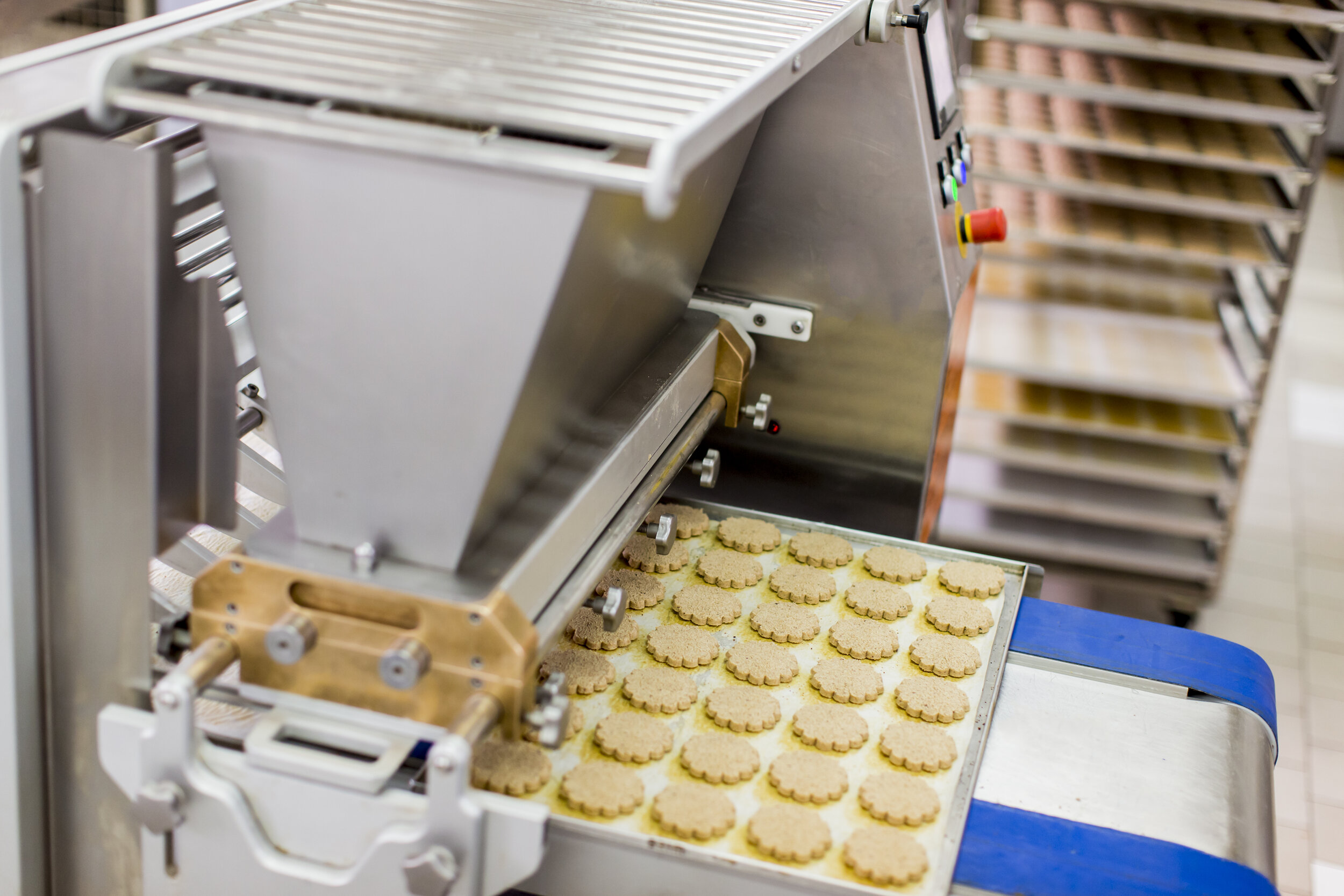 Food Processing Equipment