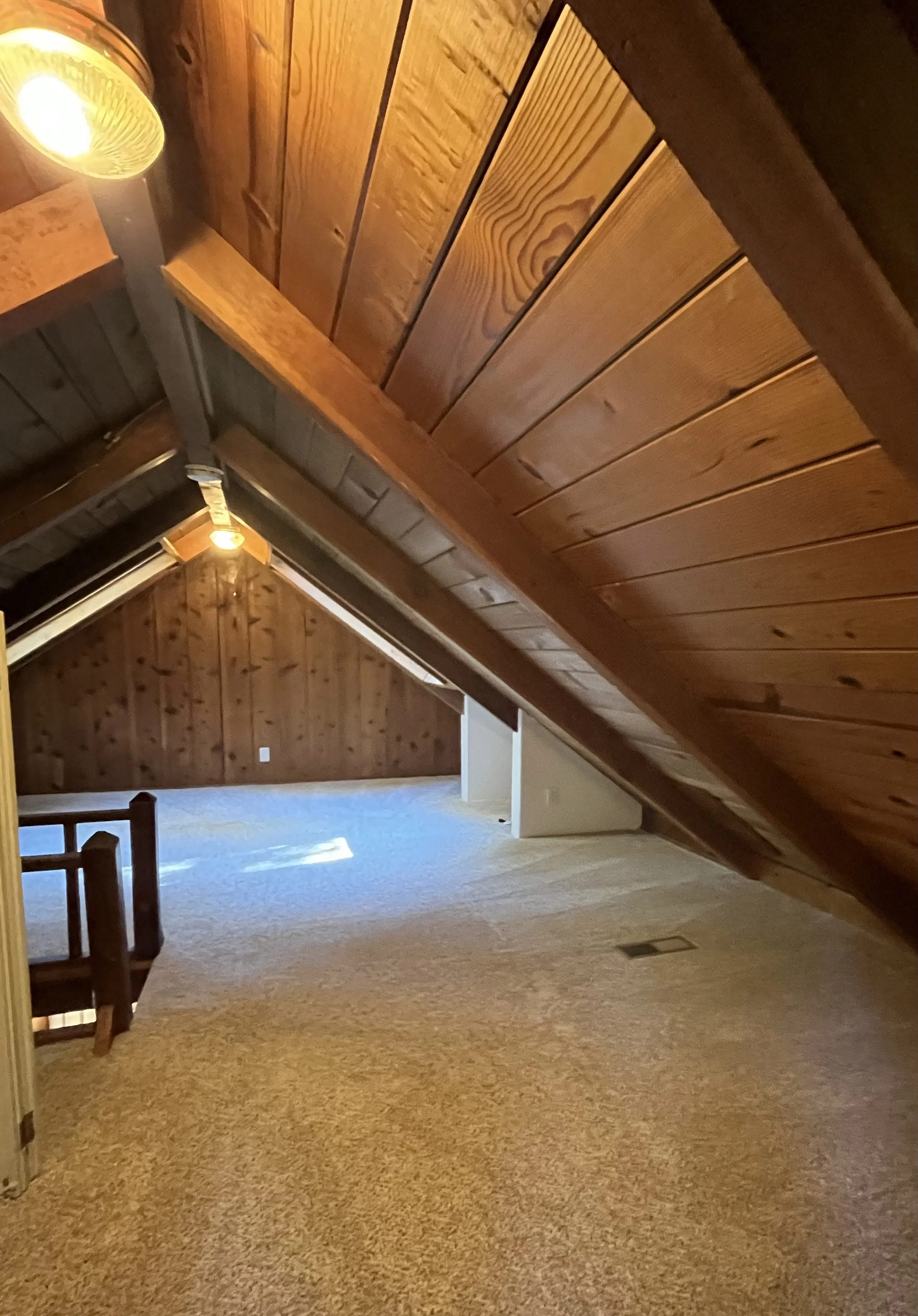 image5 (2).jpeg