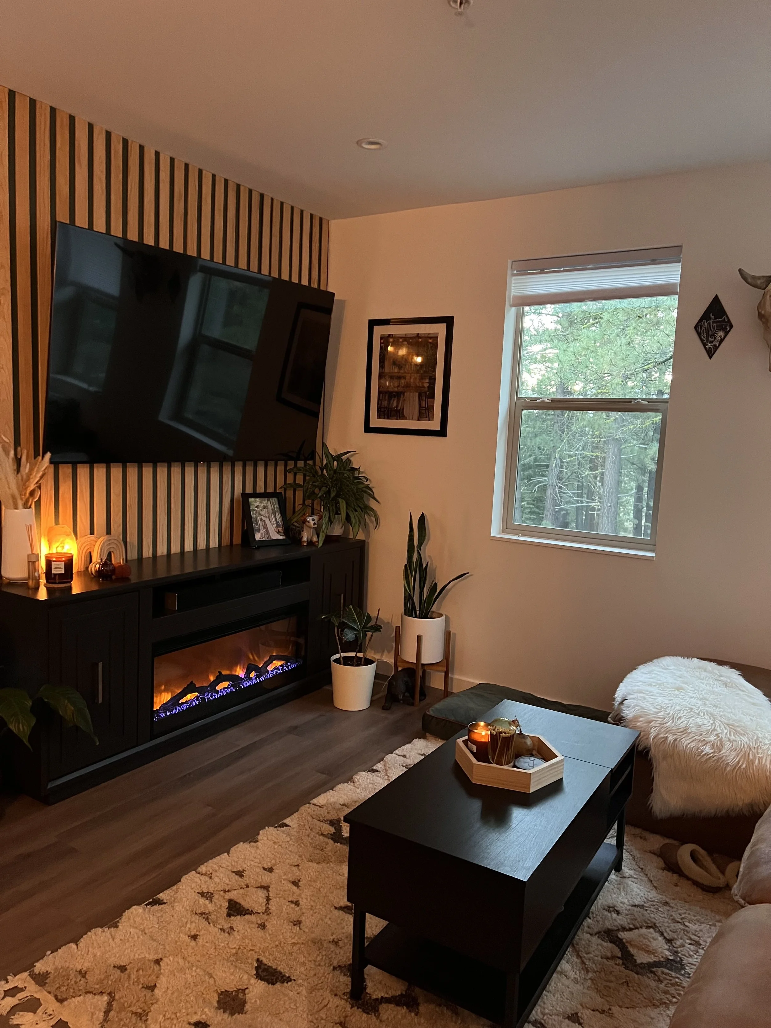 Hopkins Village Townhome