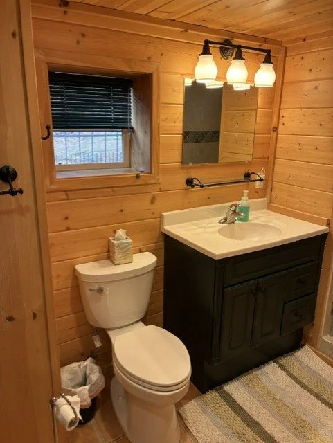 Cabin 8.jpg