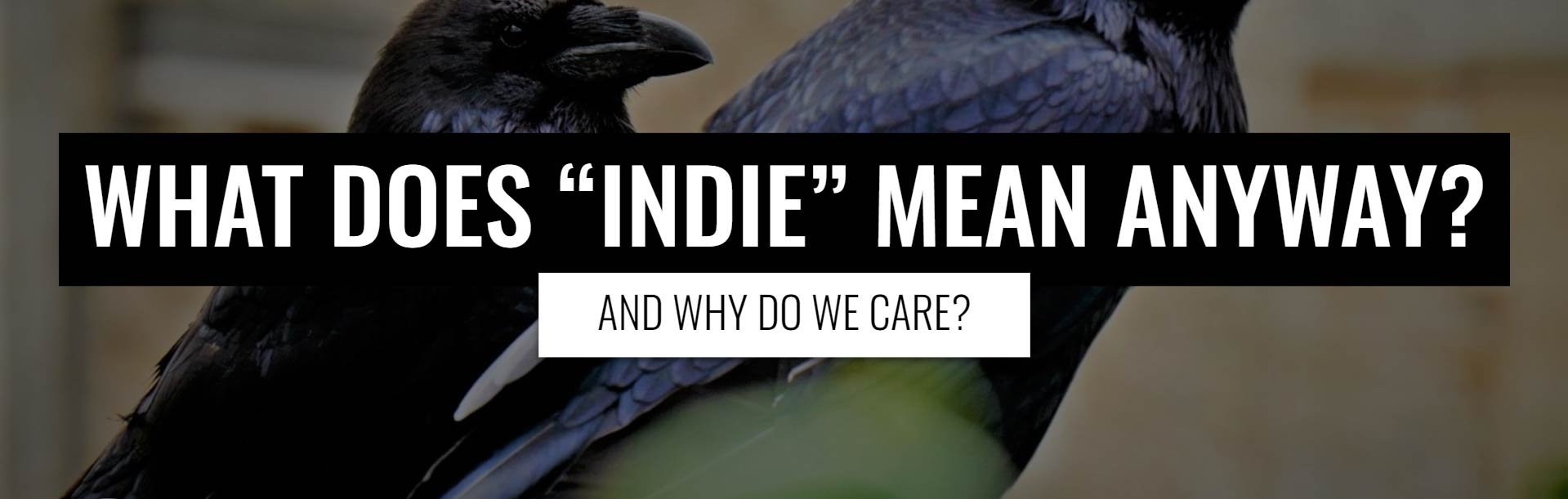 MAGWest Panels What Does Indie Mean Game Raven Review magwest-panels-what-does-indie-mean-game-raven-review