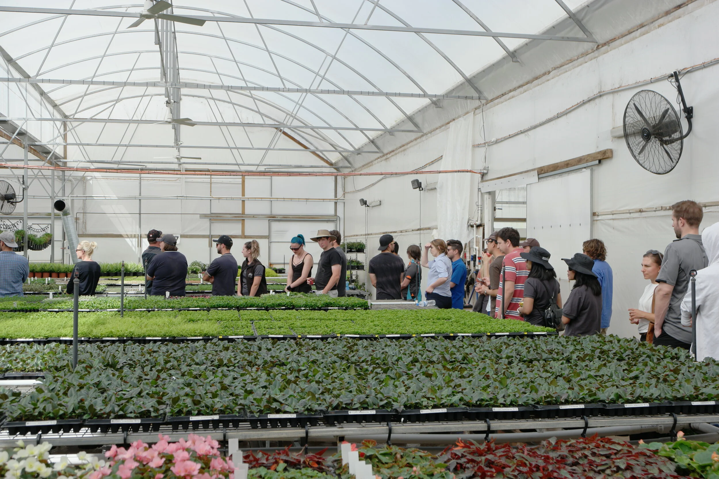 JD Propagation (20).JPG