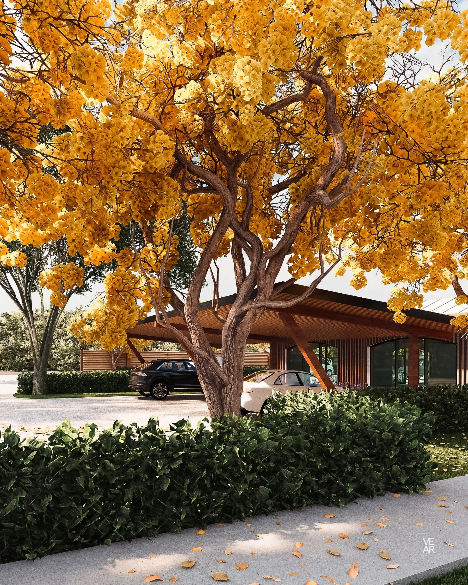 Architects In Belize | Architectural Design Services - XVIII- #architects #architecture #home #design #sustainabledesign  #architectsinbelize #landscapedesign #residentialdesign  #commercialdesign #dreamhome #interiordesign #homedesigns