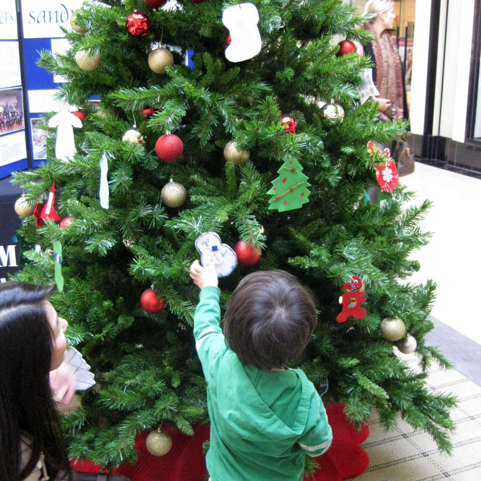 Copy-of-Sugarplum-5.jpg
