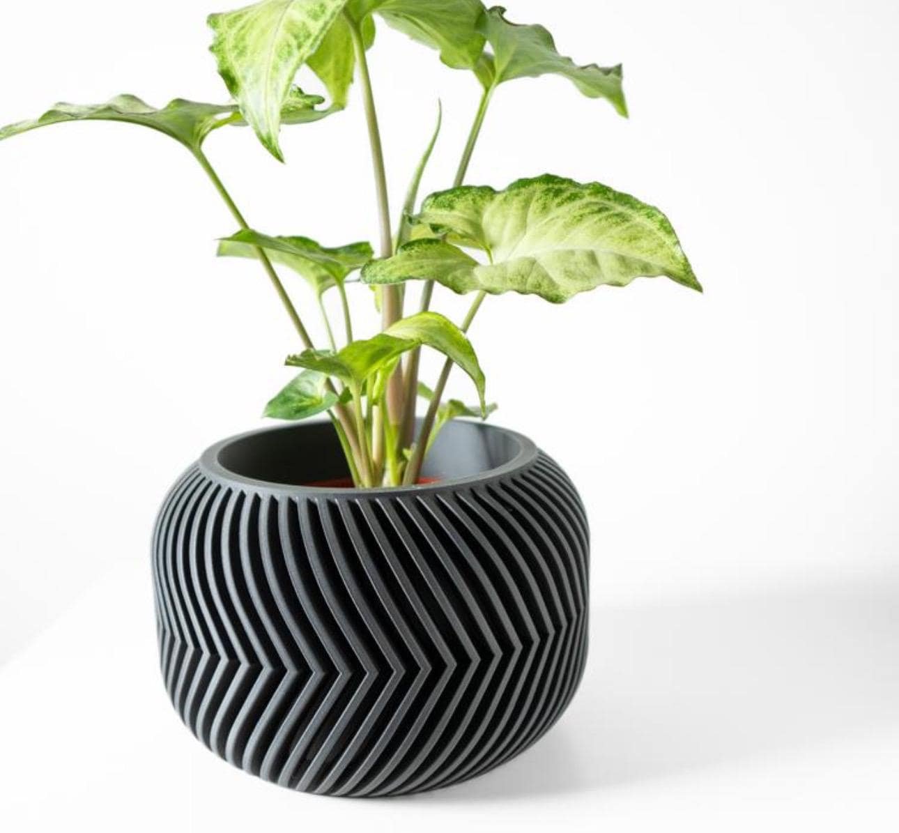 https://i.etsystatic.com/7818185/r/il/661220/6651902885/il_fullxfull.6651902885_4442.jpg