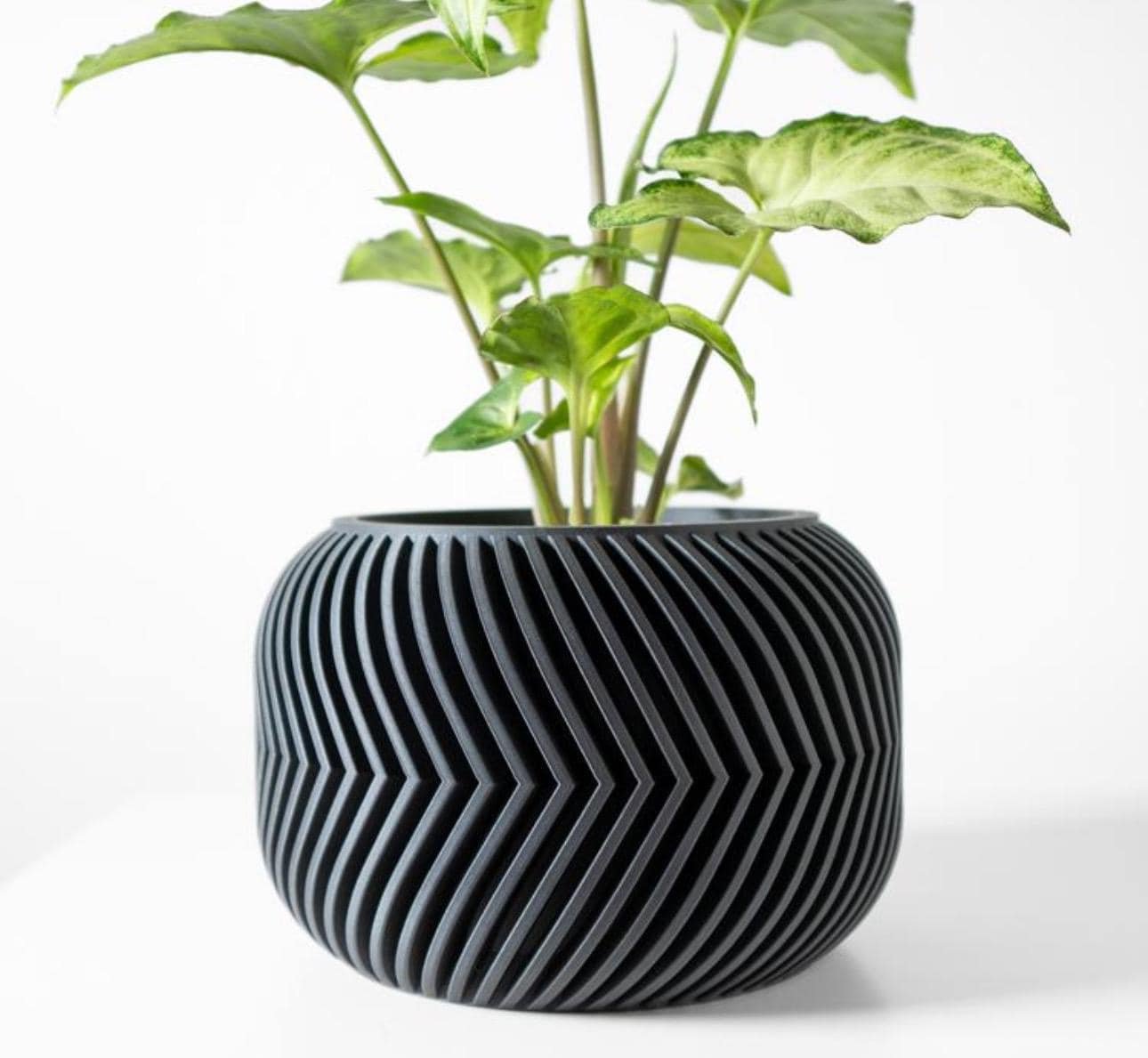 https://i.etsystatic.com/7818185/r/il/ffad49/6651902893/il_fullxfull.6651902893_72sr.jpg