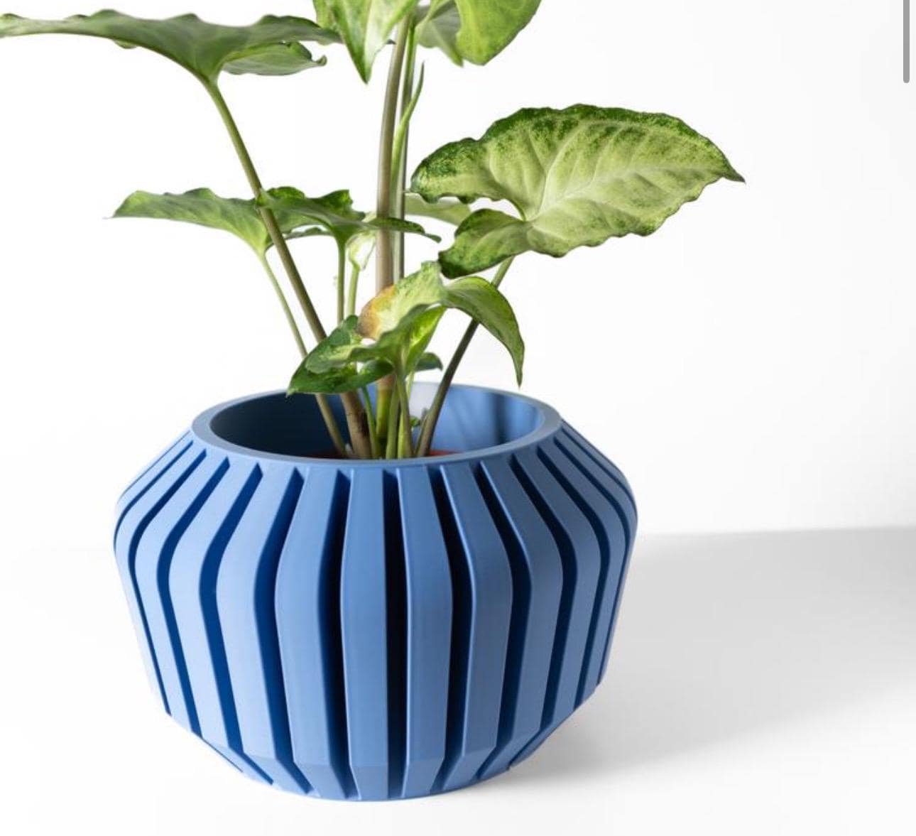 https://i.etsystatic.com/7818185/r/il/36b9f2/6651959571/il_fullxfull.6651959571_bk1k.jpg