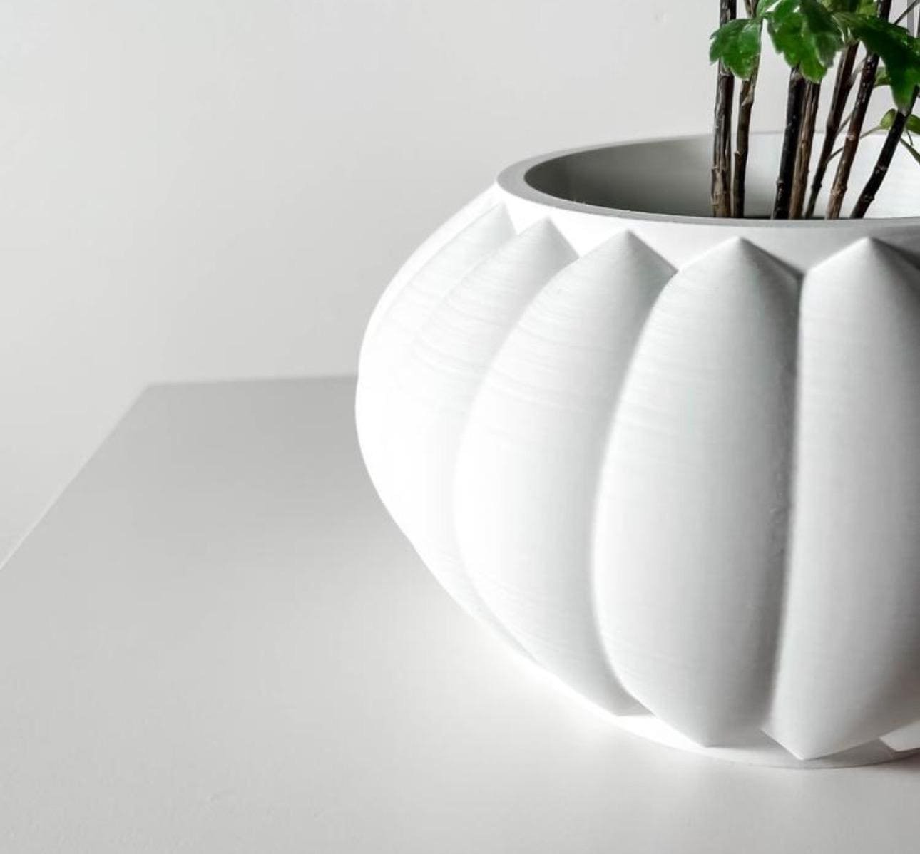 https://i.etsystatic.com/7818185/r/il/efa099/6651885565/il_fullxfull.6651885565_hsiv.jpg