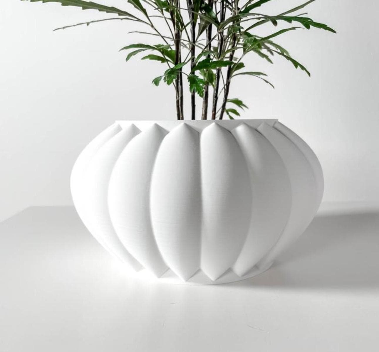 https://i.etsystatic.com/7818185/r/il/1fa11a/6651885651/il_fullxfull.6651885651_4izx.jpg