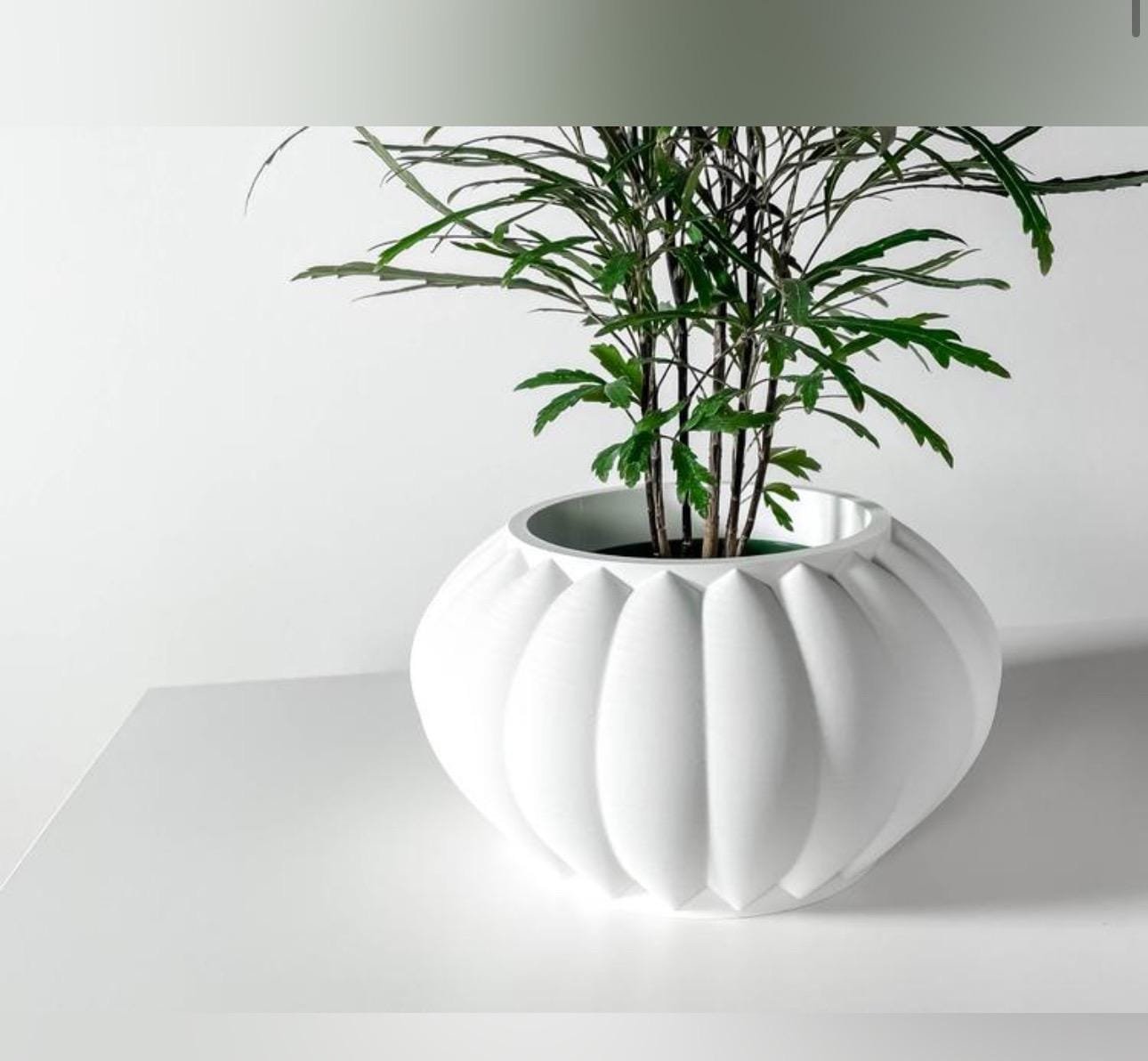 https://i.etsystatic.com/7818185/r/il/85c6e4/6603784860/il_fullxfull.6603784860_qioy.jpg