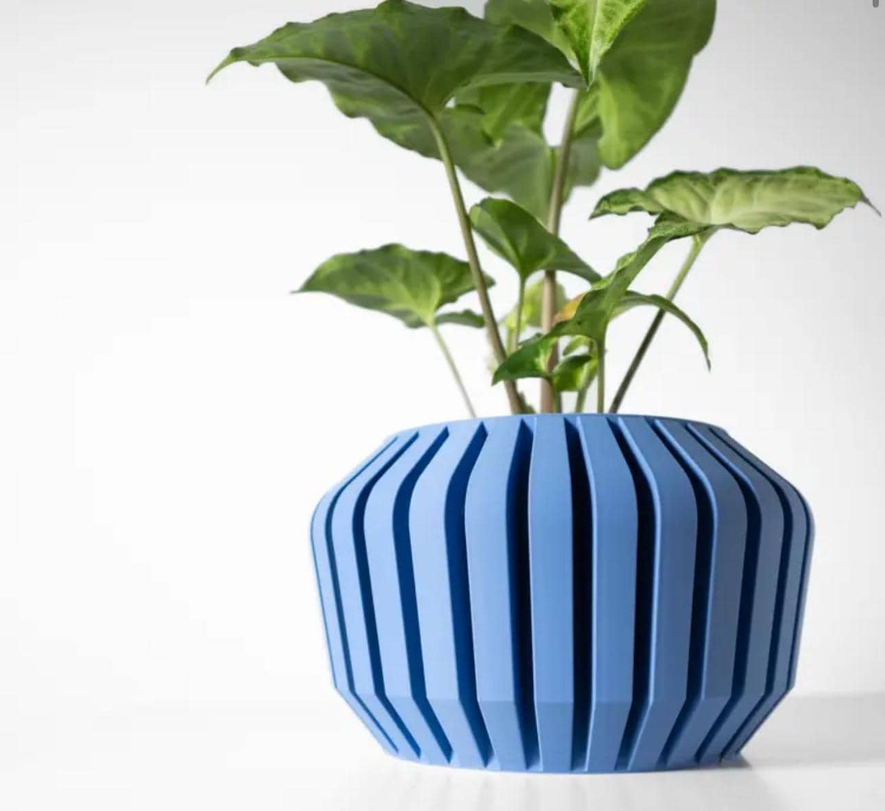 https://i.etsystatic.com/7818185/r/il/ba8a3c/6603859094/il_fullxfull.6603859094_qgho.jpg