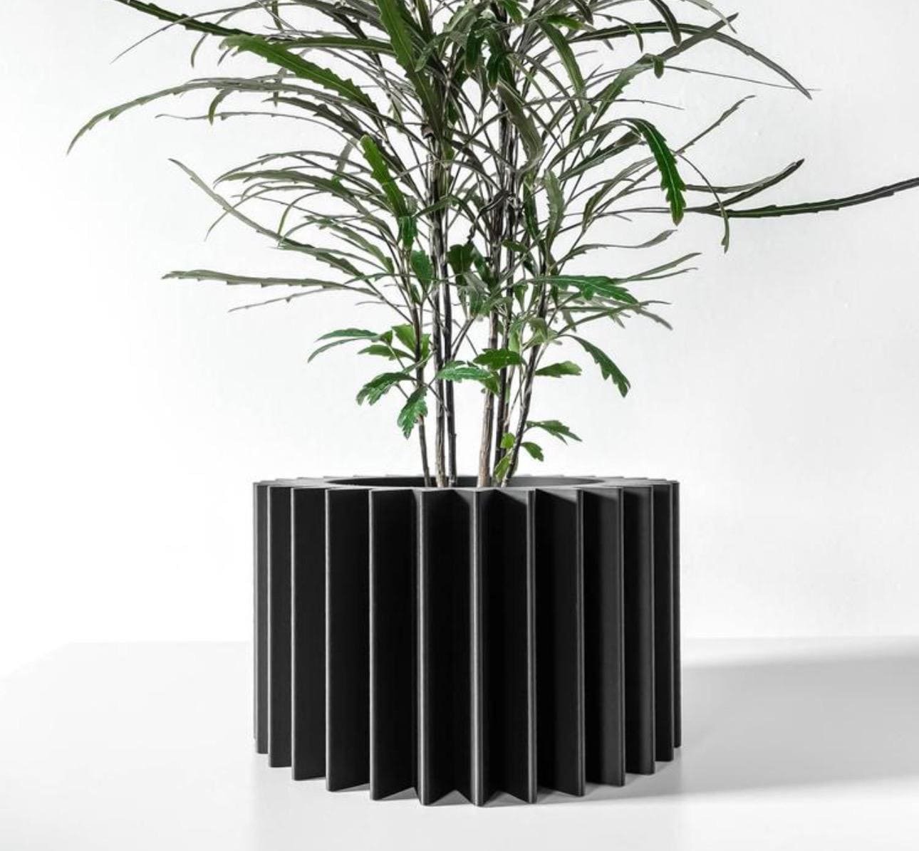 https://i.etsystatic.com/7818185/r/il/395f33/6603853802/il_fullxfull.6603853802_j8kk.jpg