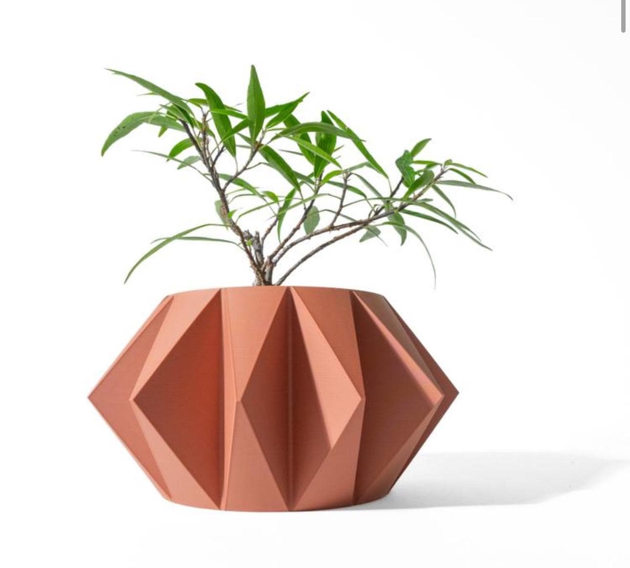 https://i.etsystatic.com/7818185/r/il/f8d40b/6603832394/il_fullxfull.6603832394_bca3.jpg