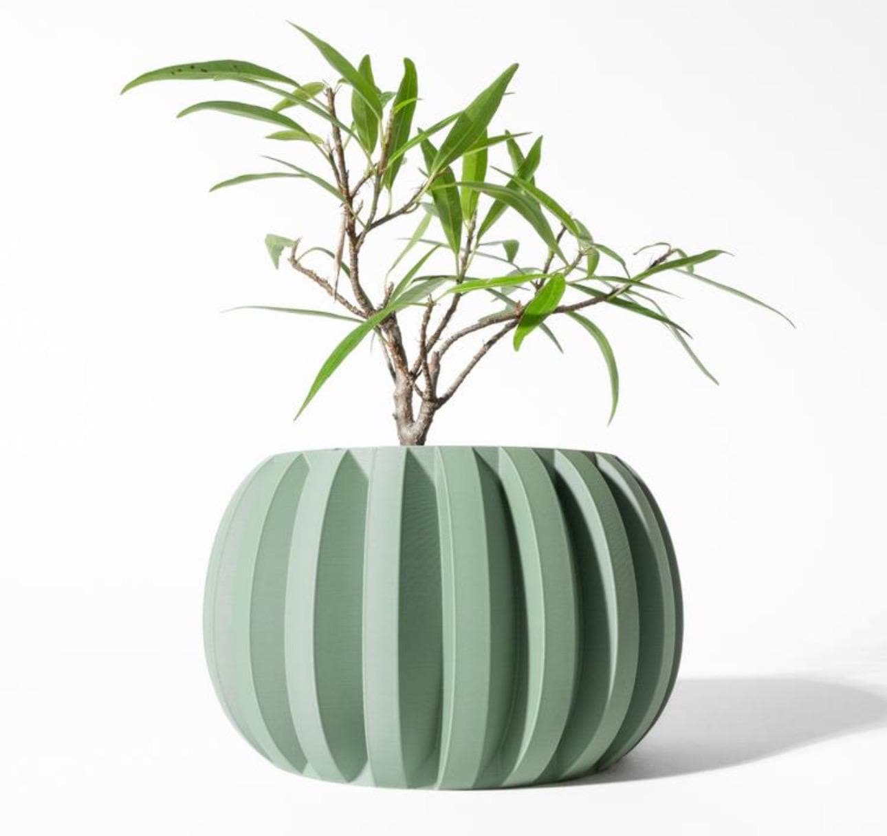 https://i.etsystatic.com/7818185/r/il/d0470f/6603817480/il_fullxfull.6603817480_9vrr.jpg