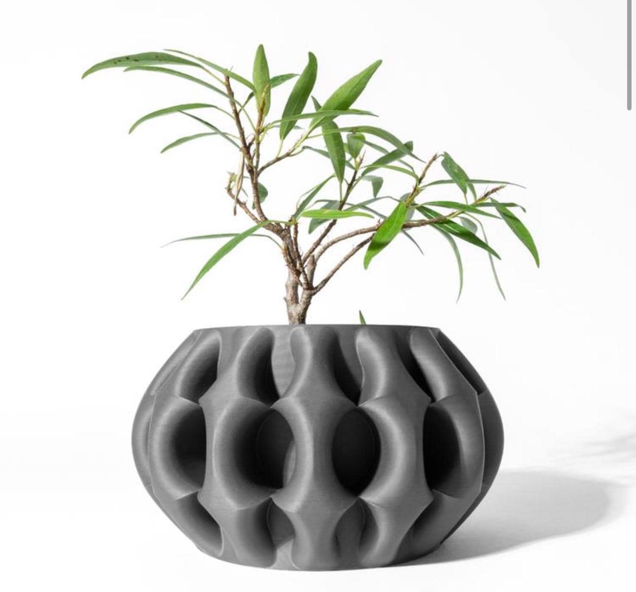 https://i.etsystatic.com/7818185/r/il/d6997f/6592152162/il_fullxfull.6592152162_dy3l.jpg