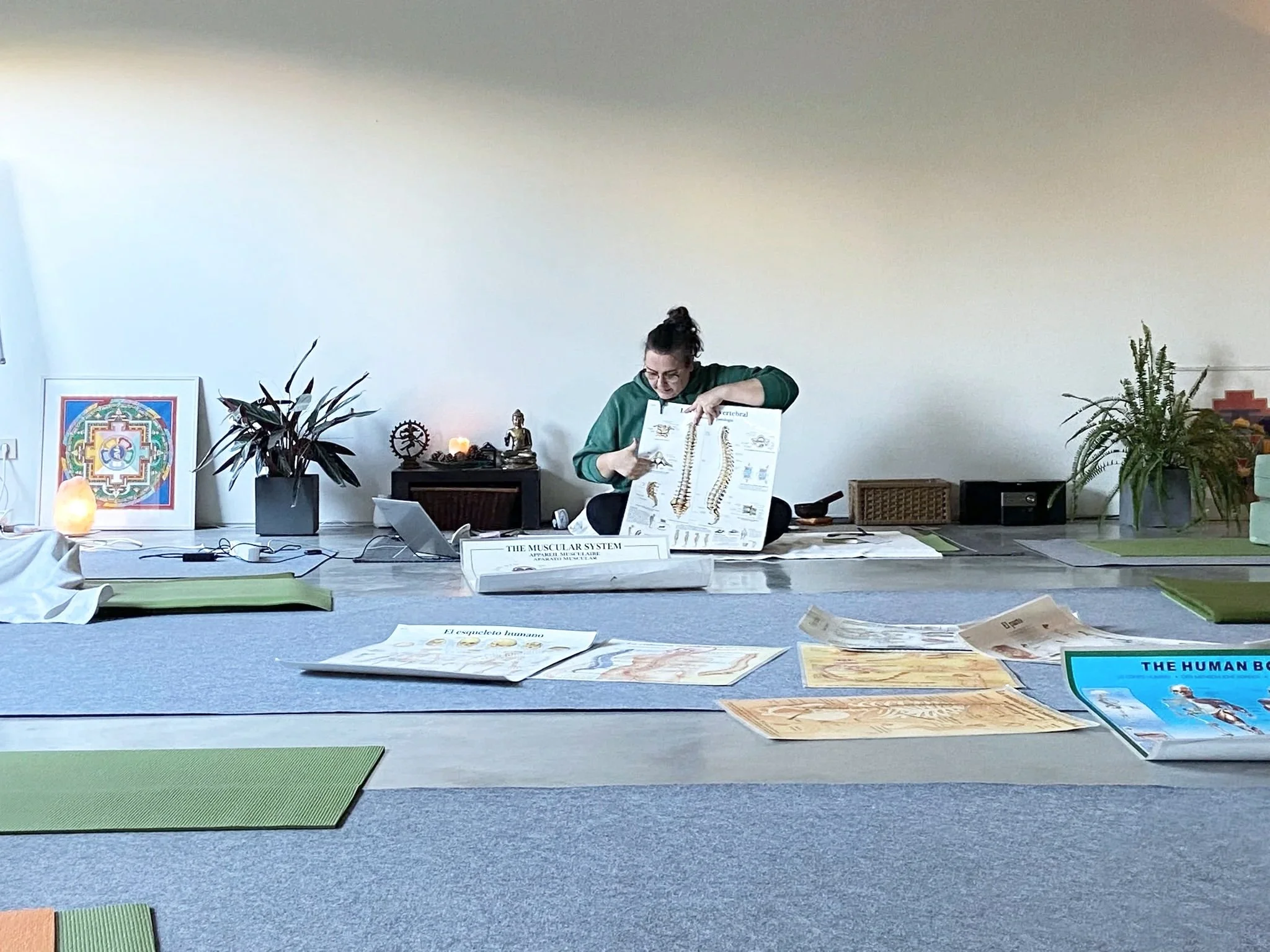 Formació per a l'acreditació de professors de Ioga a Catalunya