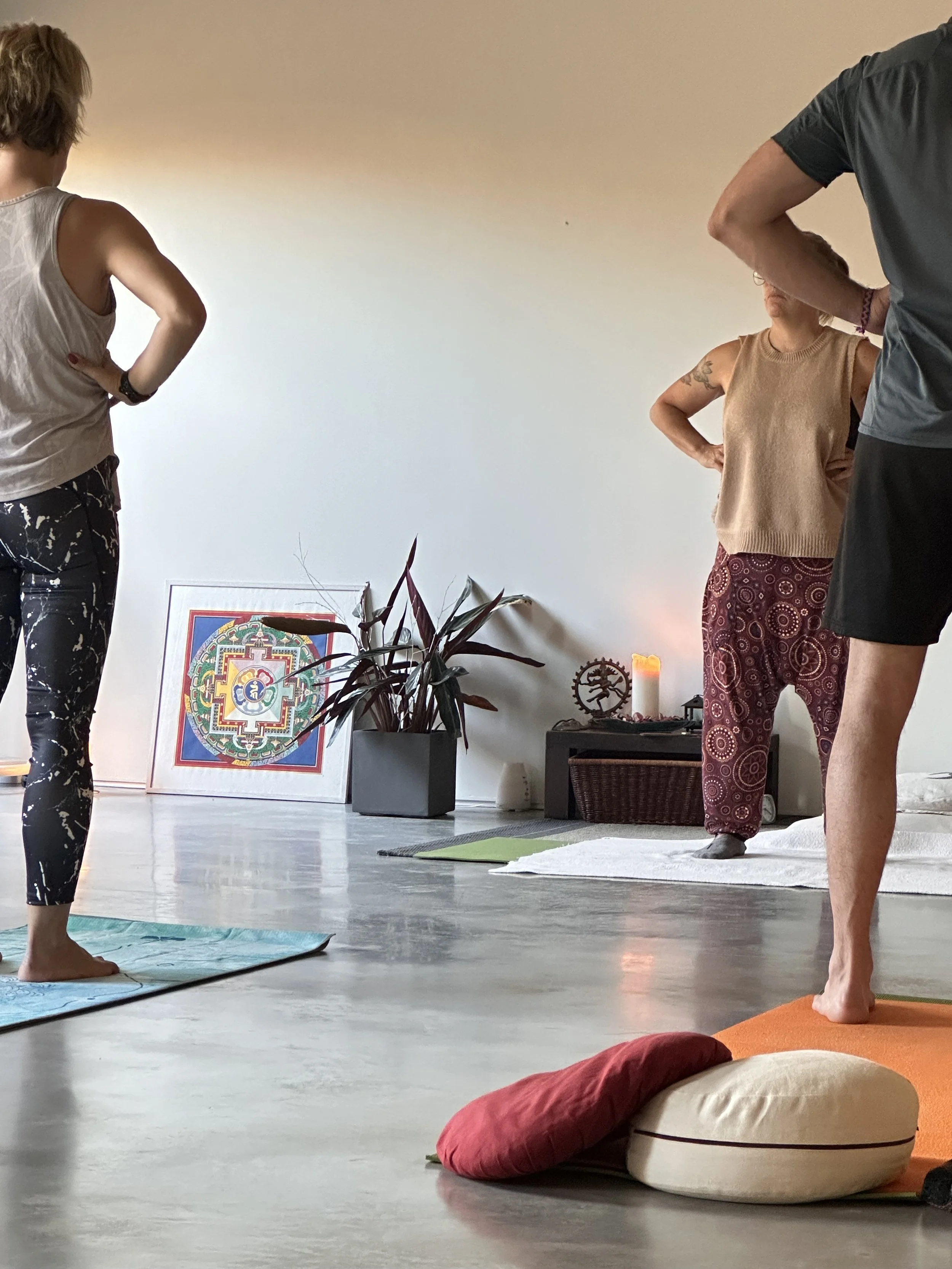 formacio en ioga a Figueres i Girona per a l'Acreditació de competències de la Generalitat de Catalunya