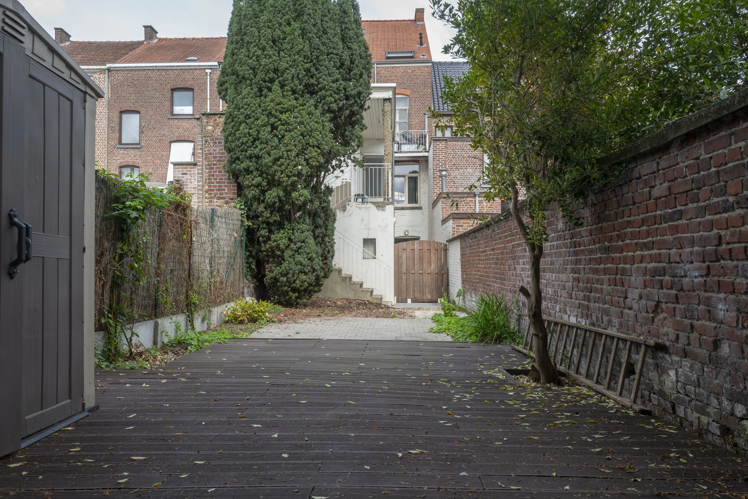 Tuin 2.jpg