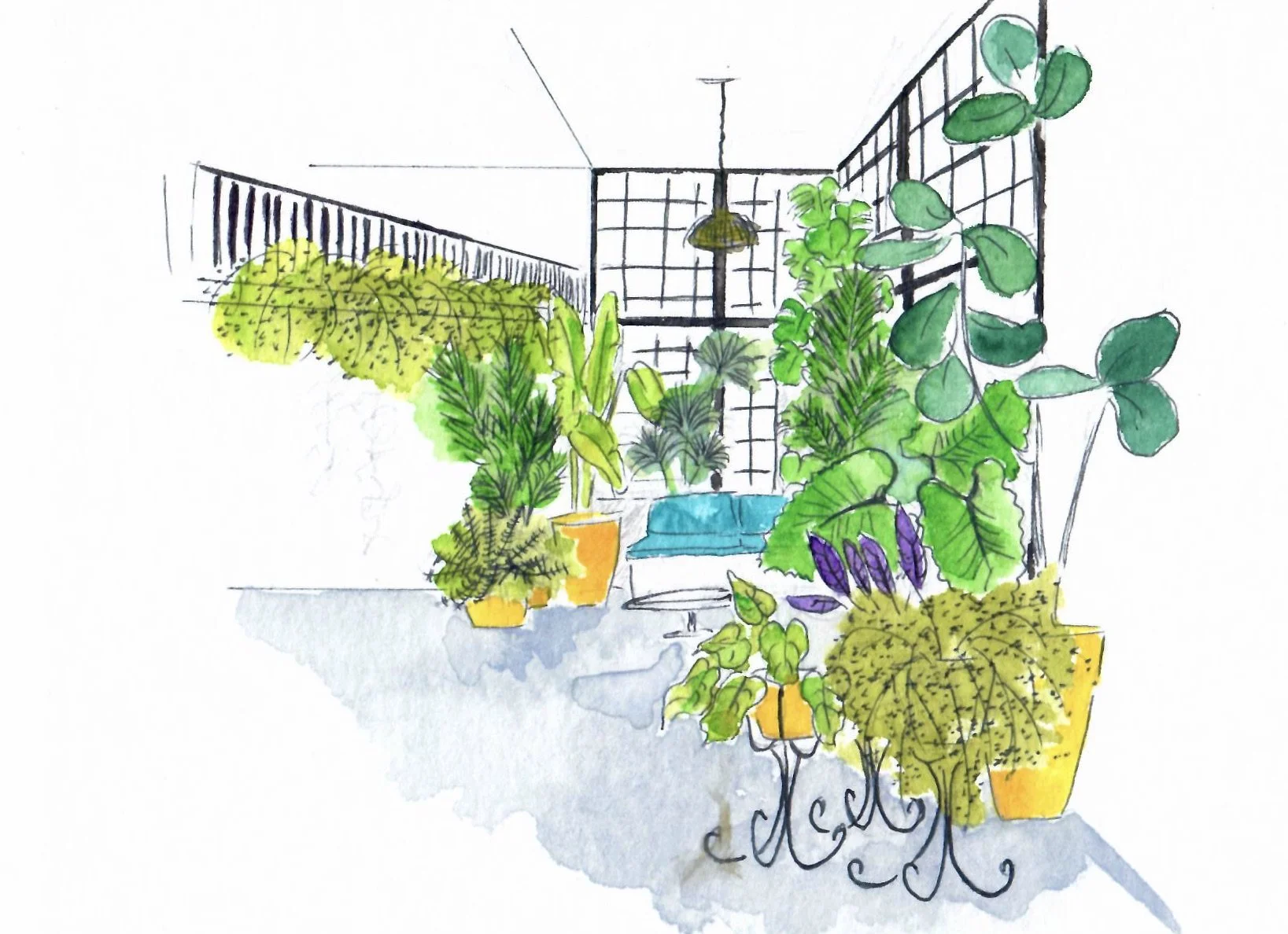 jardin d'hiver.jpg