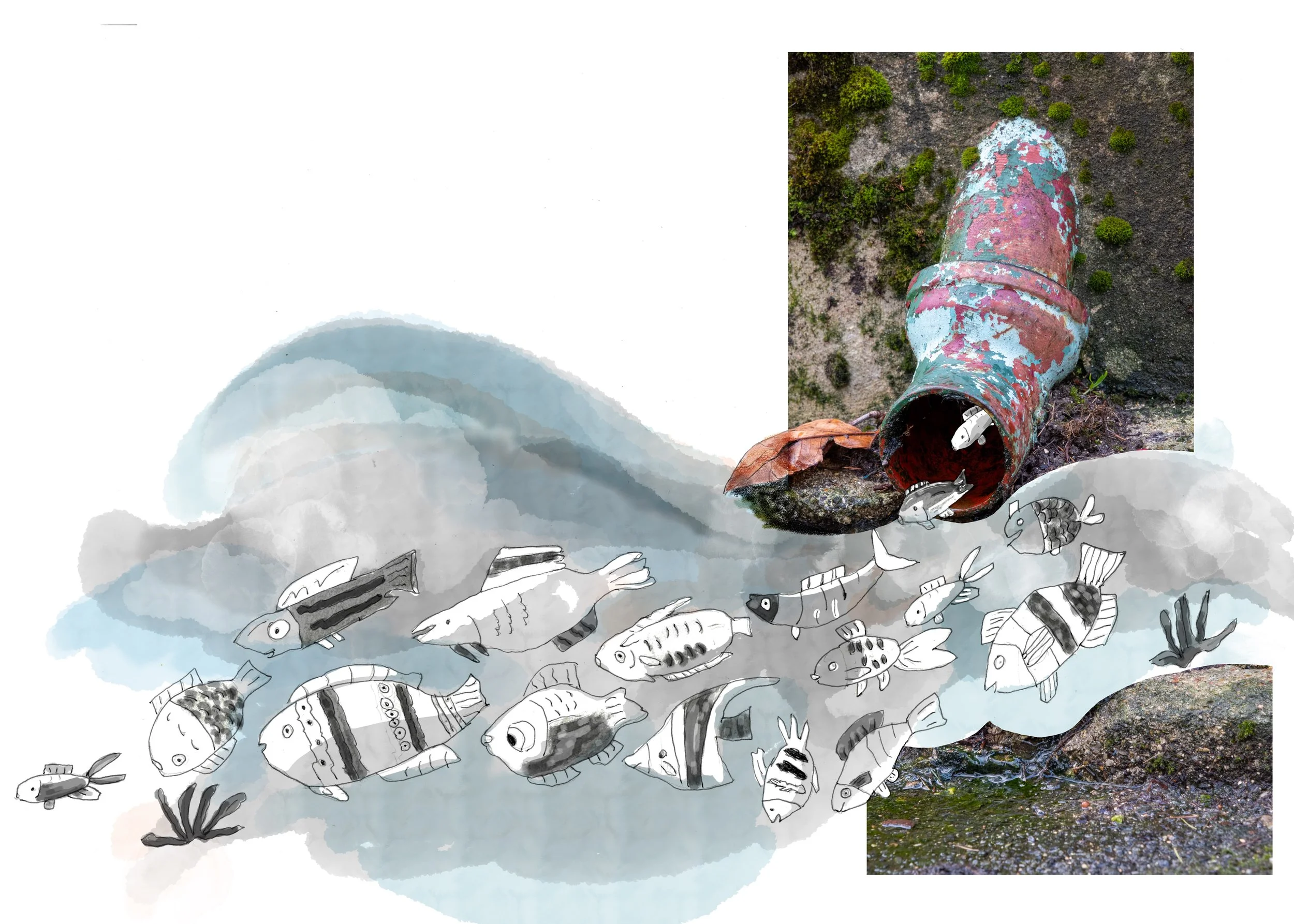 poissons2.jpeg