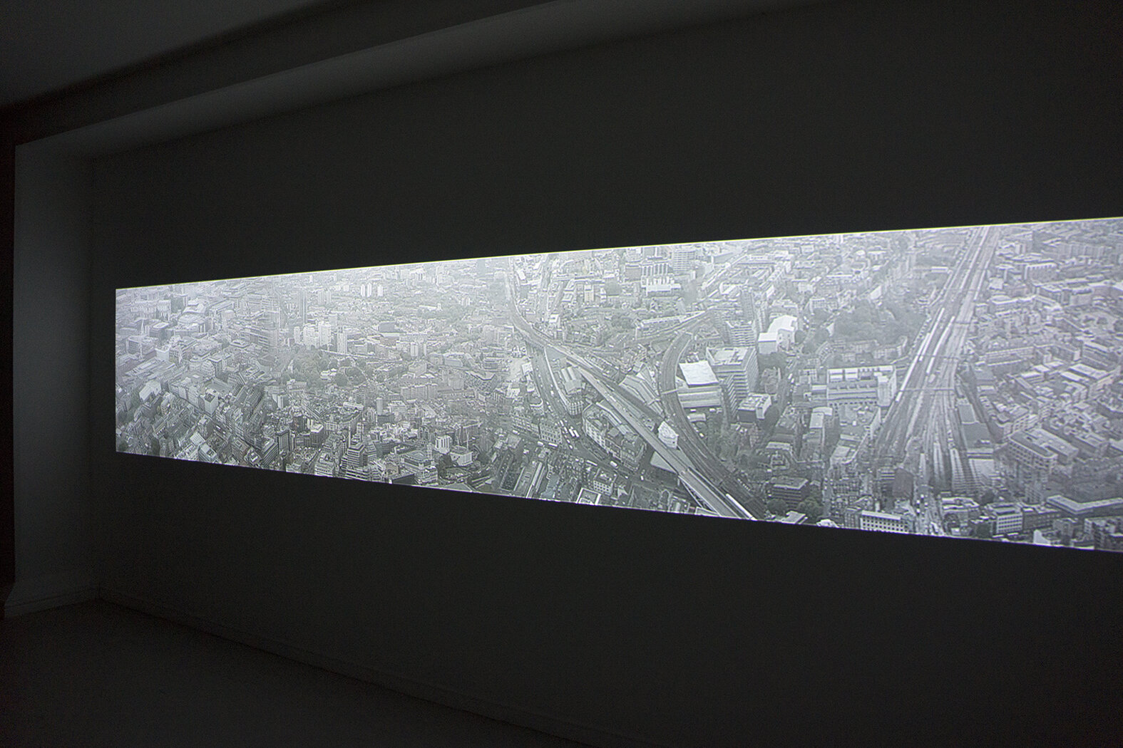 Lisalee-habitat3.jpg