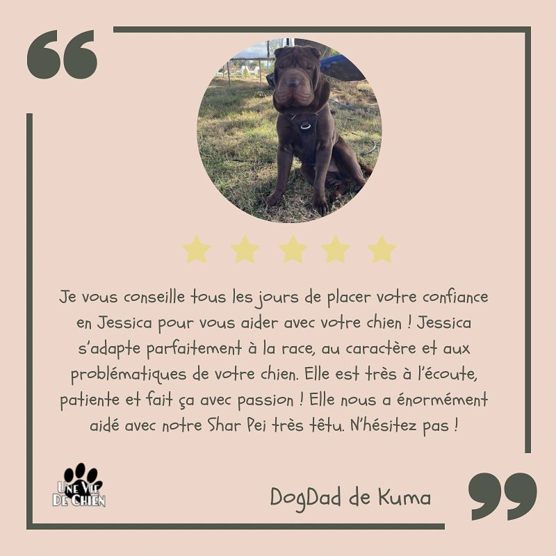 TEMOIGNAGE ✨

Merci Kuma ❤️ @lune.kuma 

#uneviedechien #uneviedechiencoaching #educationcaninepositive #educationcanine #educationpositivechien #comportementalistechien #chien #eduquersonchien #educatricecanin  #chienmignon #chienheureux #comporteme