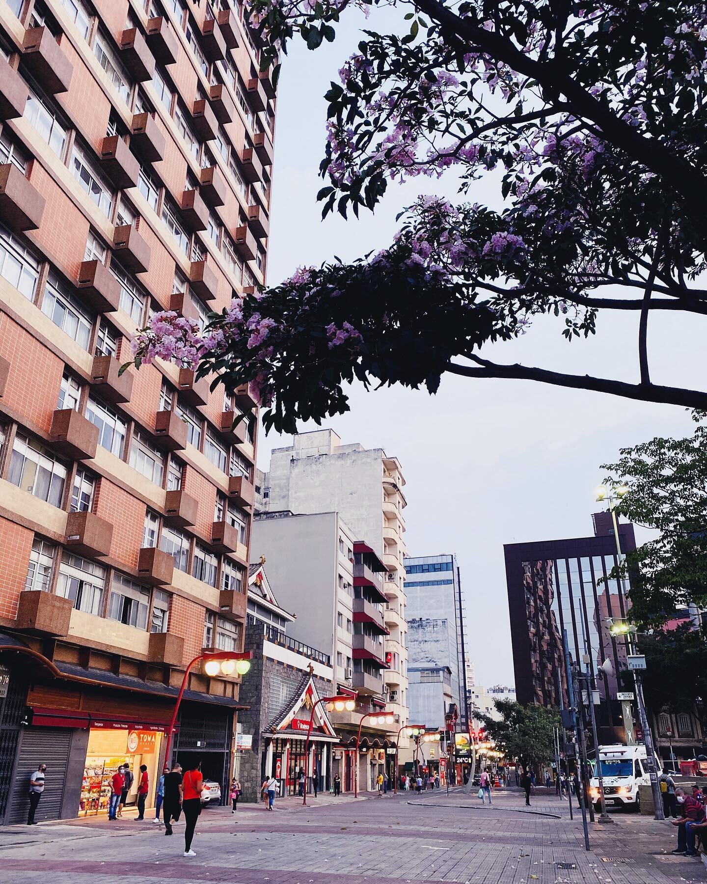 ✨E a primavera dando seus primeiros ind&iacute;cios aqui na pra&ccedil;a mais linda da cidade de #saopaulo! Uma &oacute;tima semana &agrave; todos! 🌸🌷🌺