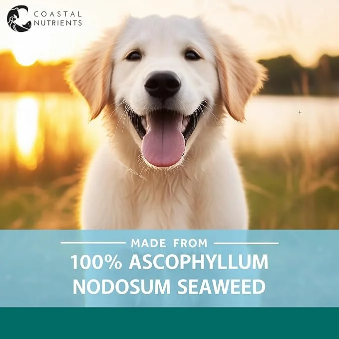 seadog-seaweed-powder-for-dogs.jpg