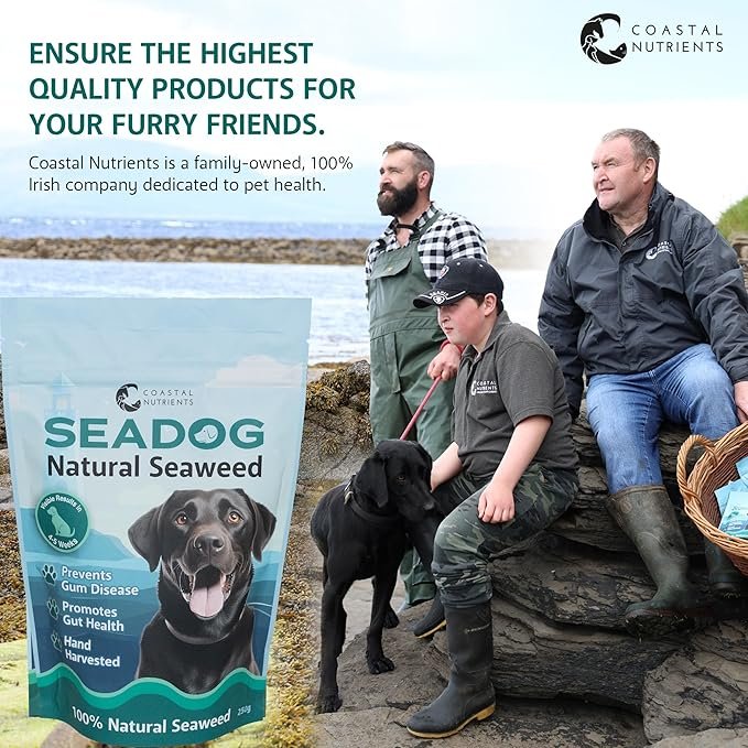seaweed-dog-supplement-teeth-cleaning.jpg